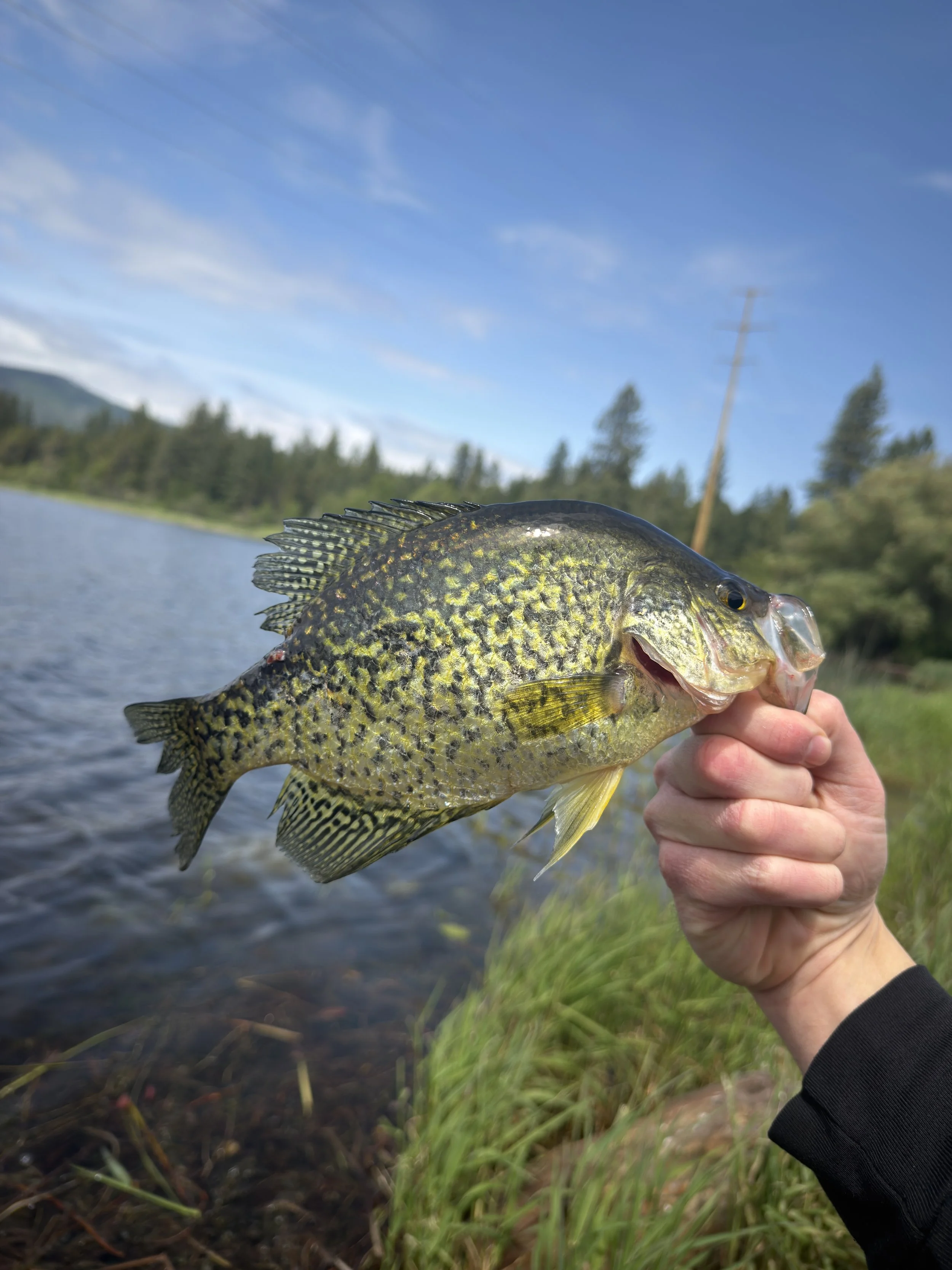 In Hindsight, The Day Was Not That Crappie