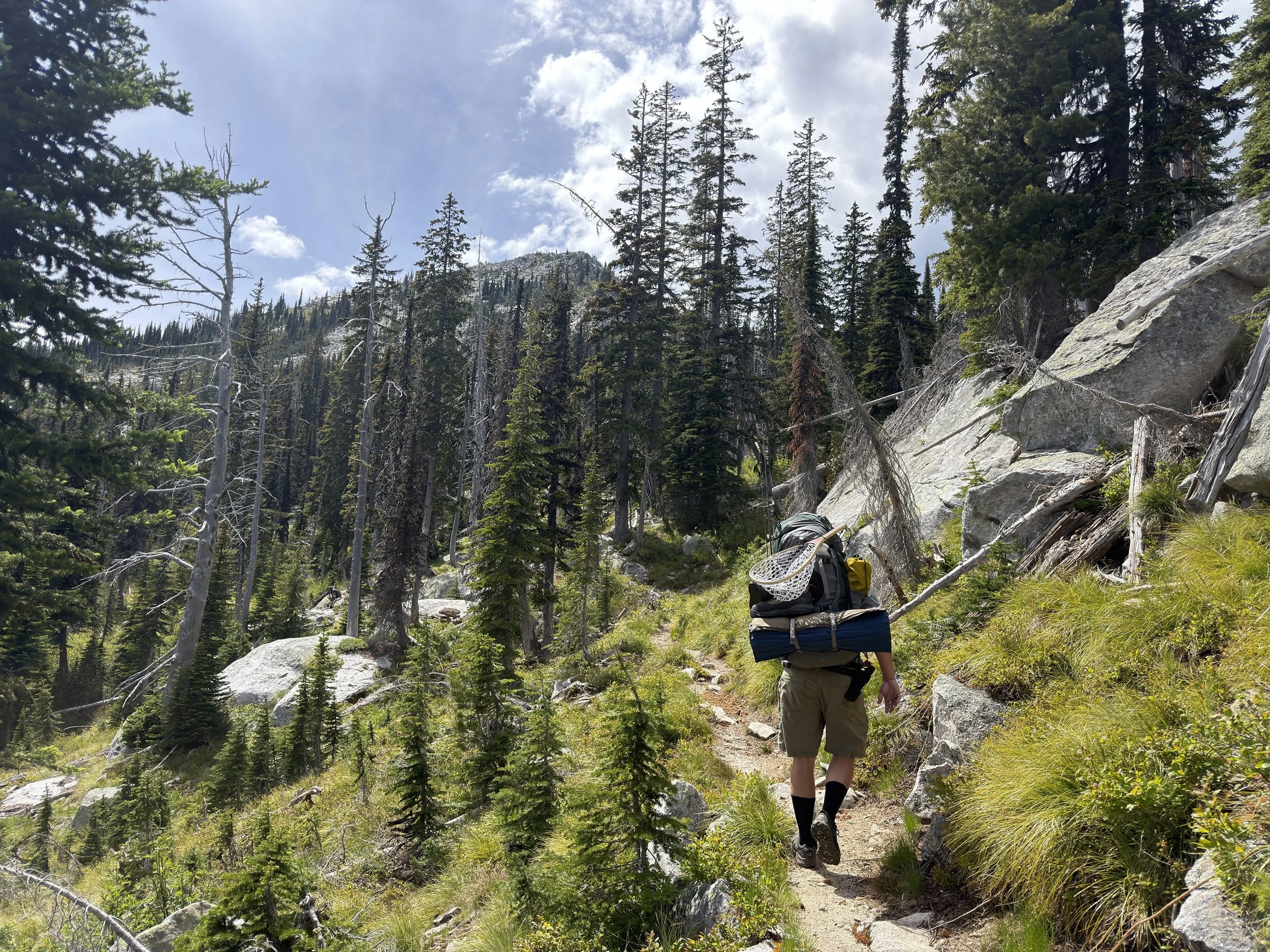 The Quest for the Holy Grayling