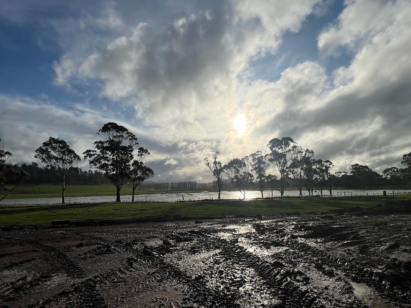 August at Woodlands Farm 🌧🌧🌧😂

#rain #wet #moneyinmudsotheysay #august #woodlandsfarm #farmlyfe #tasmania #australia #mud