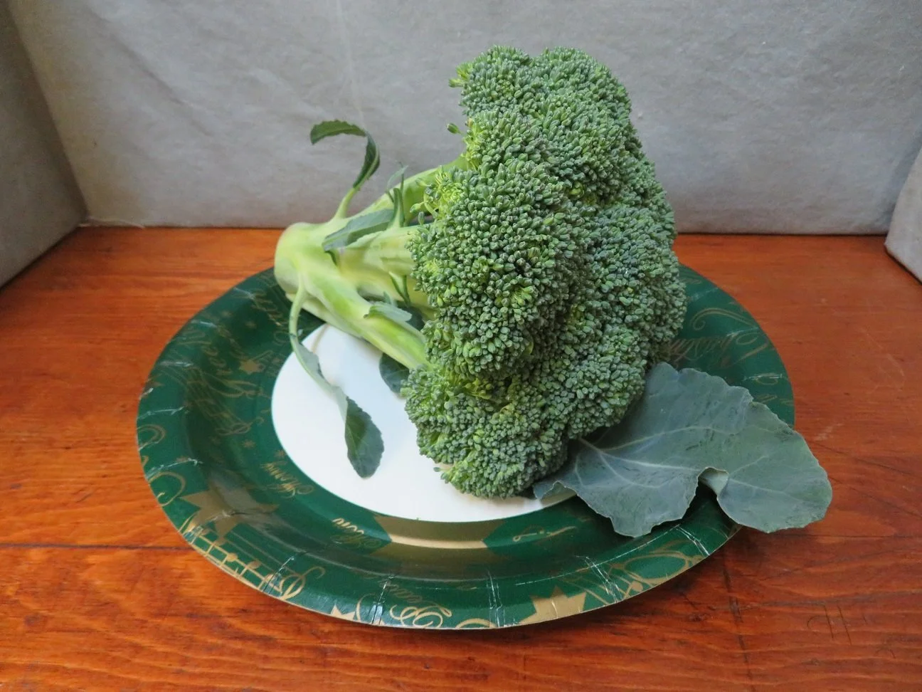 ParShow_Class_2_3_OpenVeg_Broccoli.JPG