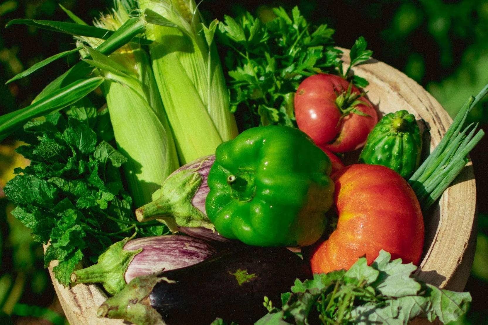 Planning Your Year-Round Veggie Garden