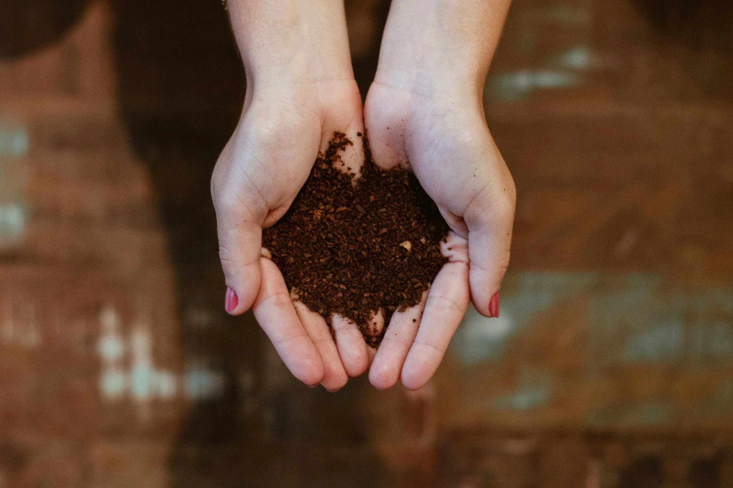 Composting Basics at Greater Victoria Compost Education Centre