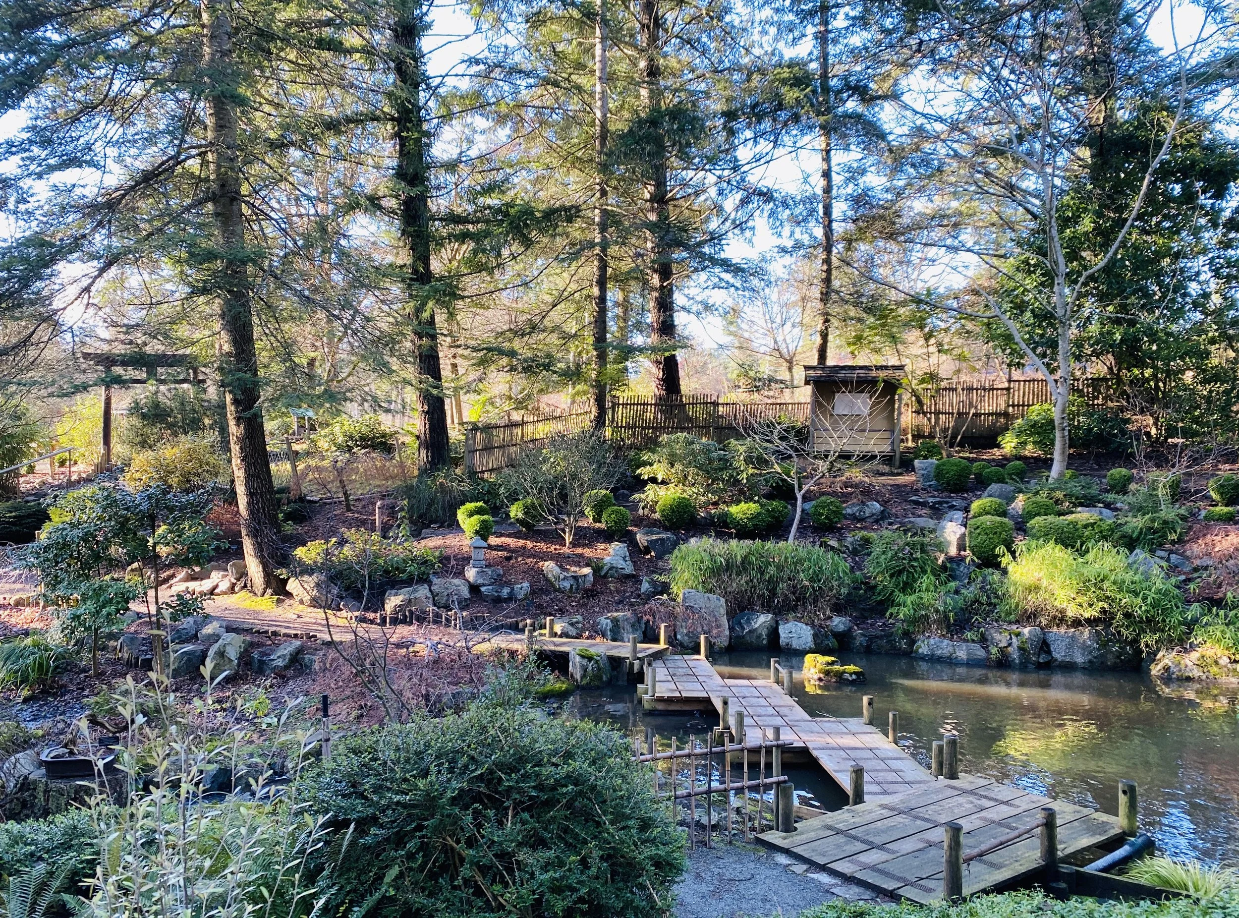 A beautiful bouquet of Greater Victoria gardens