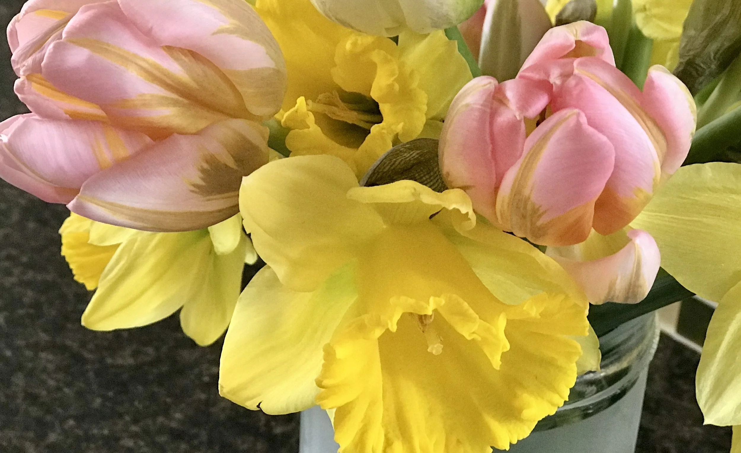 Spring Prelude Indoor Garden at the Butchart Gardens,