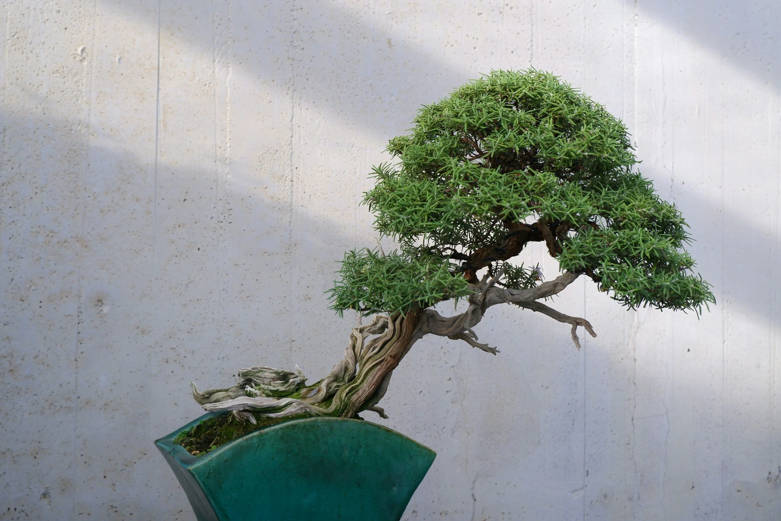 Sooke Garden Club general meeting