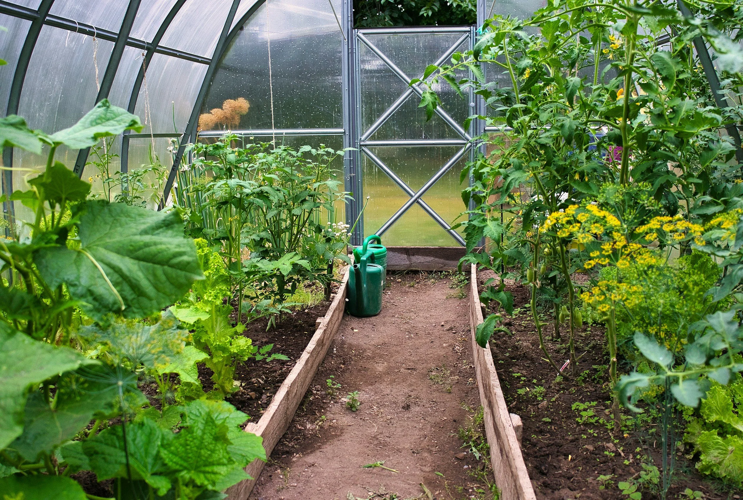 Sooke Garden Club Sept. 23: Greenhouses