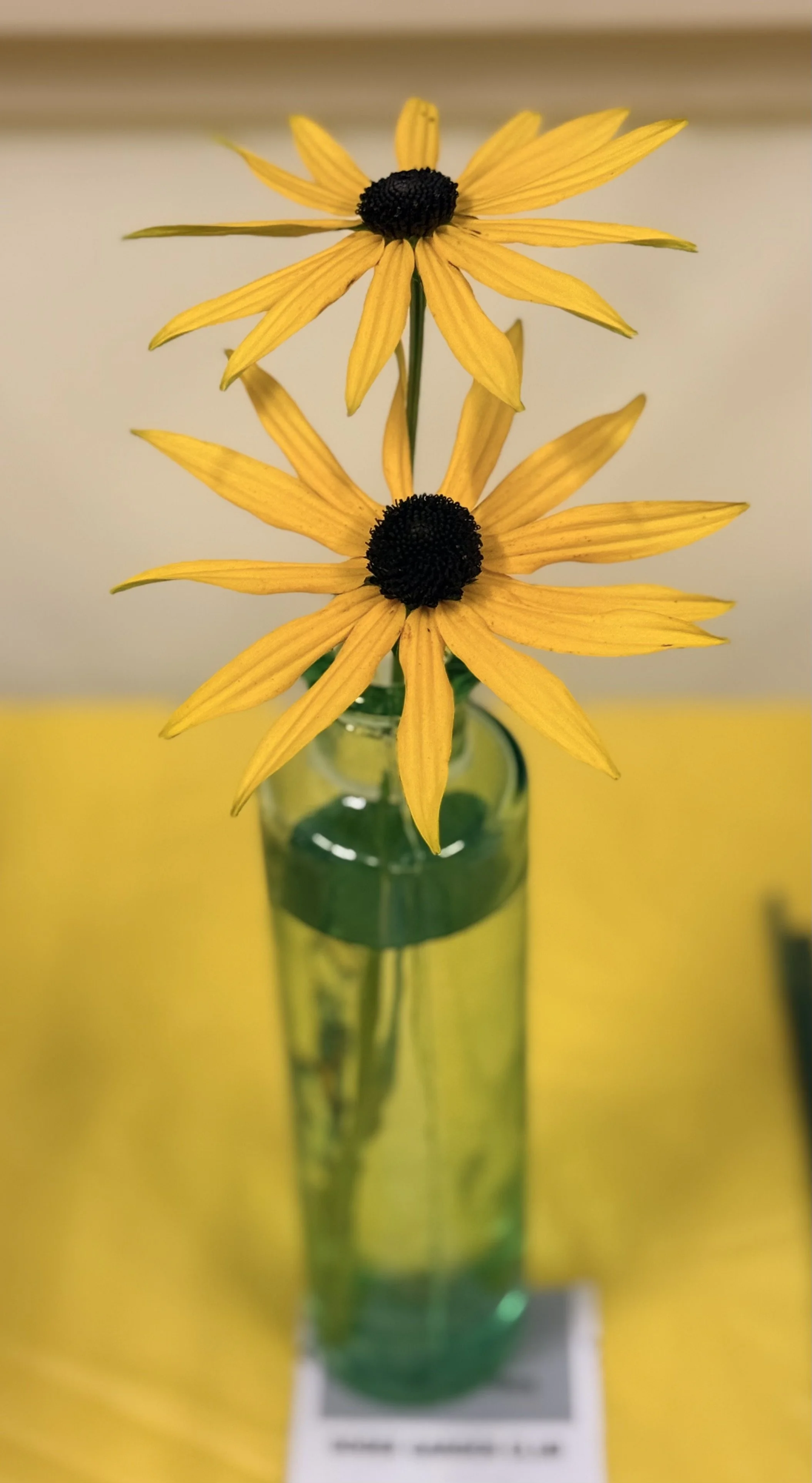 IMG_4249.jpeg