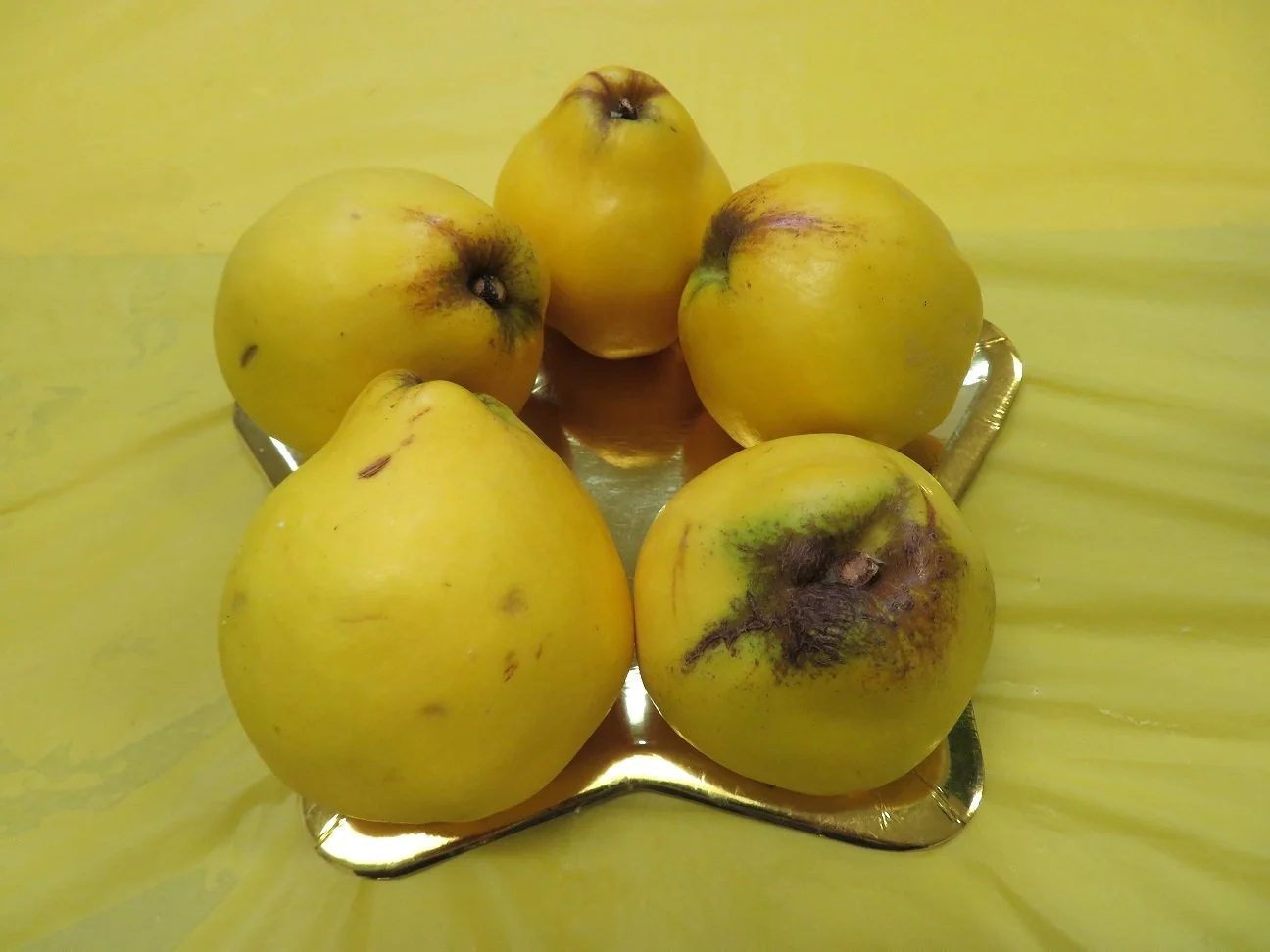ParShow_Class_1_OpenFruit_Quince.JPG