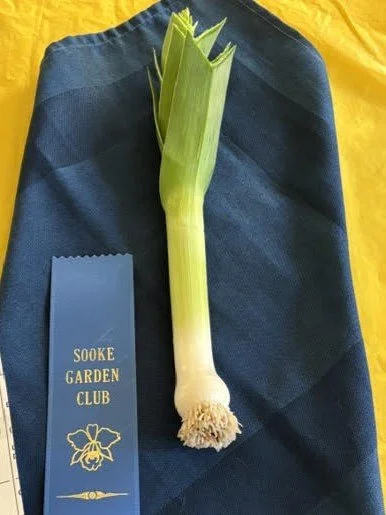 Apr23_Class9_Leek.jpg