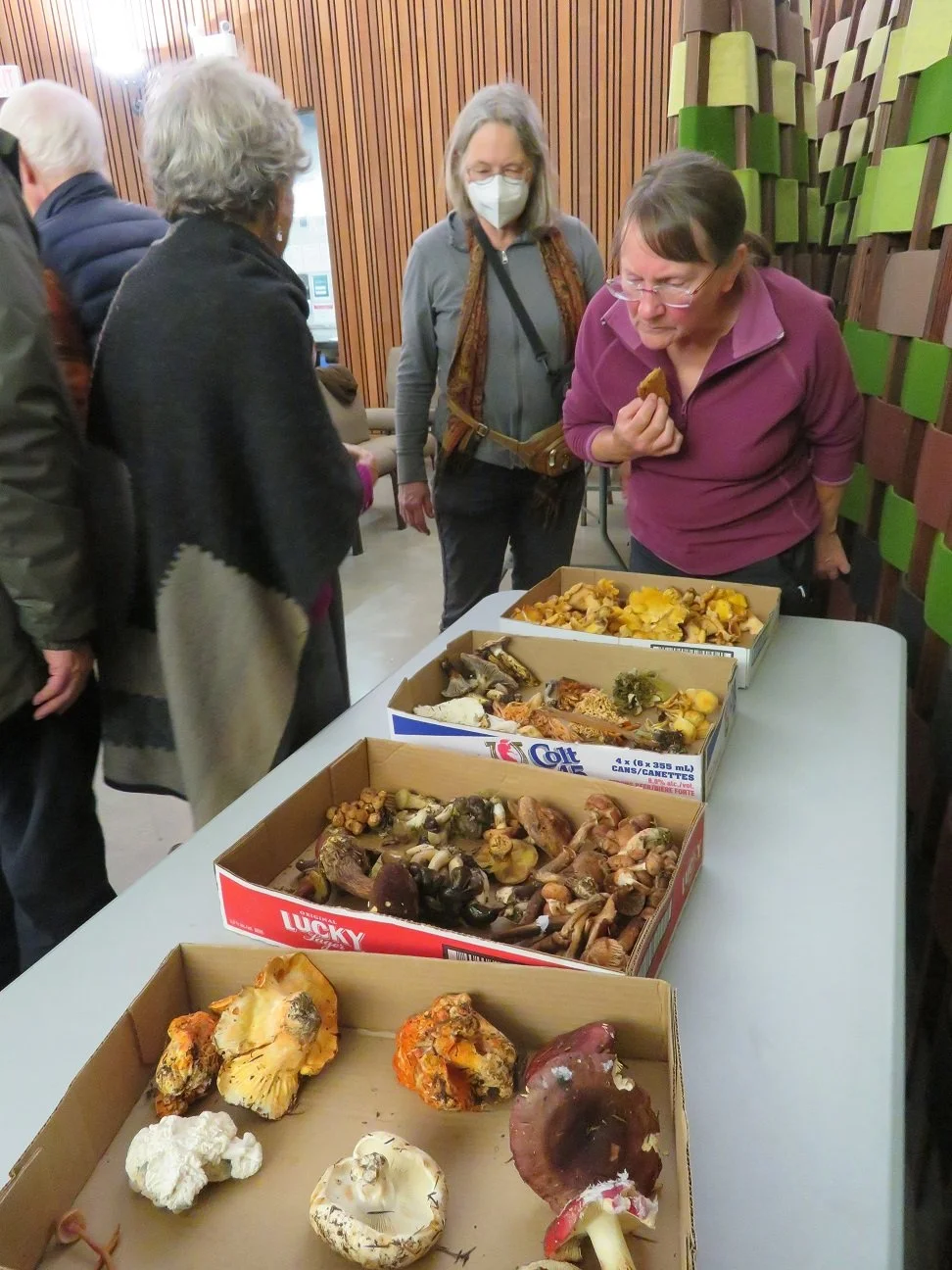 Mushrooms HandsOn_A.JPG