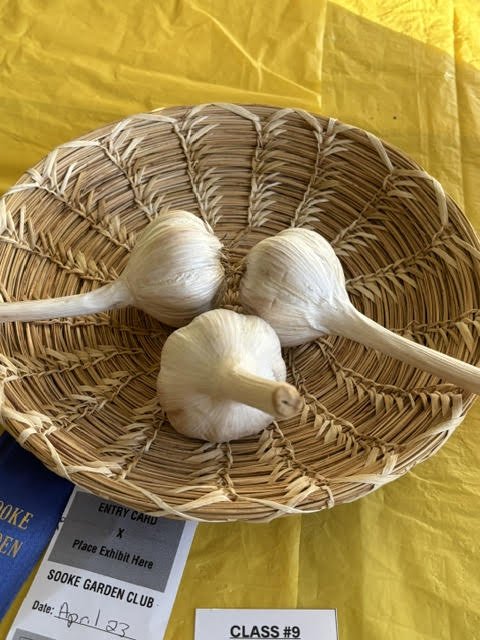 Apr23_Class9_Garlic.jpg