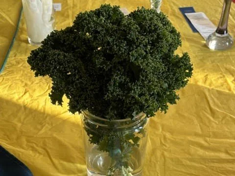 Apr23_Class9_Kale.jpg