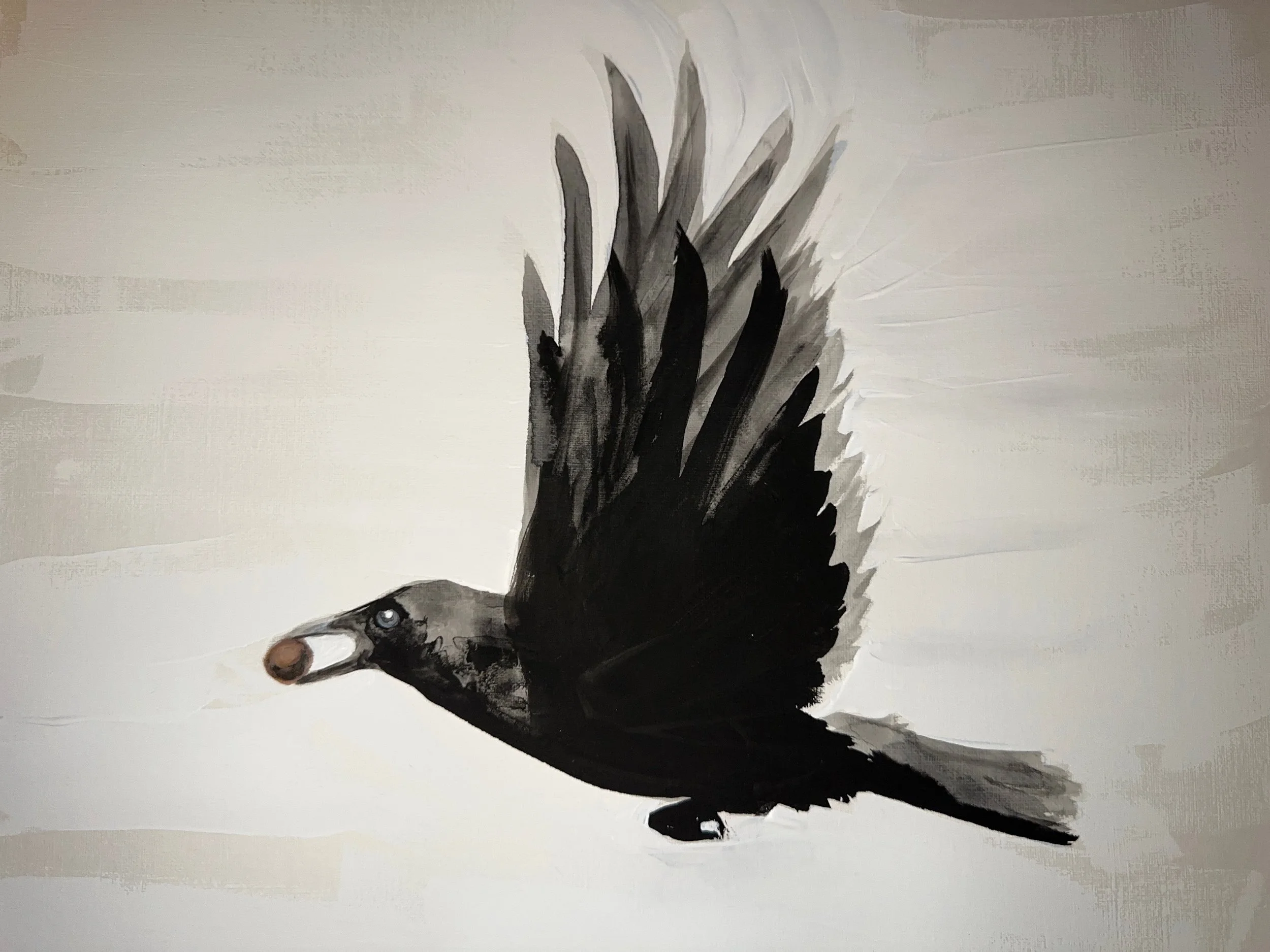 Crow with pecan for website IMG_4830.jpeg