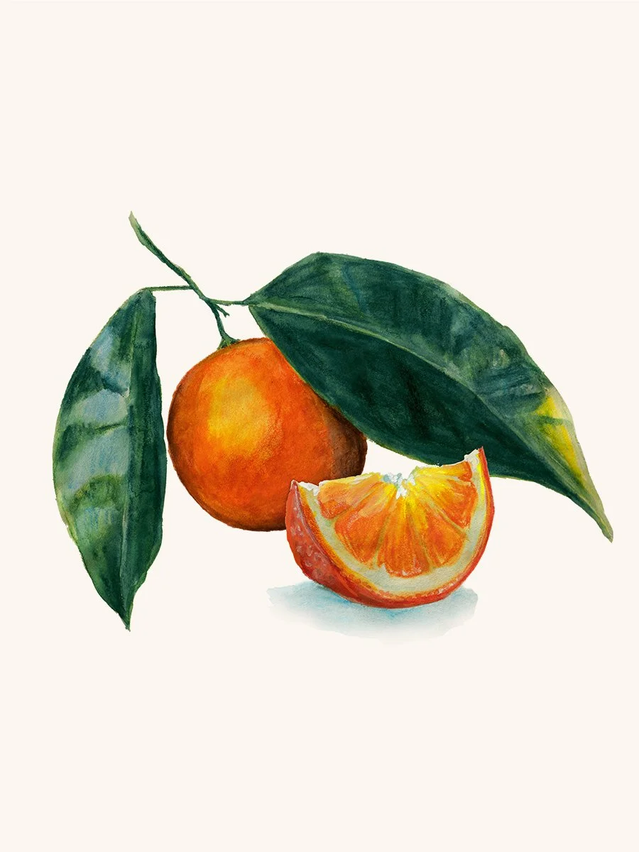 Orange and slice for website.jpg