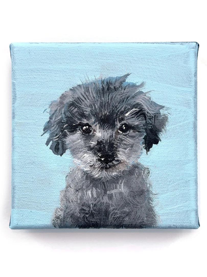 Dudley for website.jpg