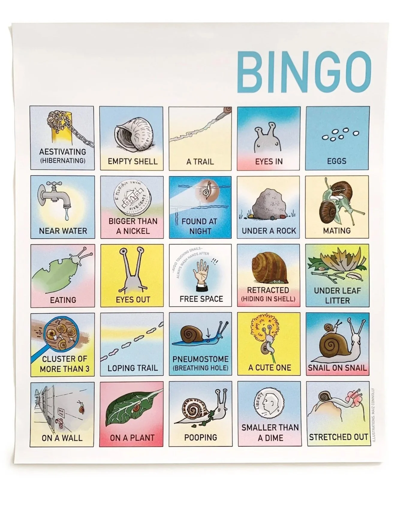 Bingo for website.jpg