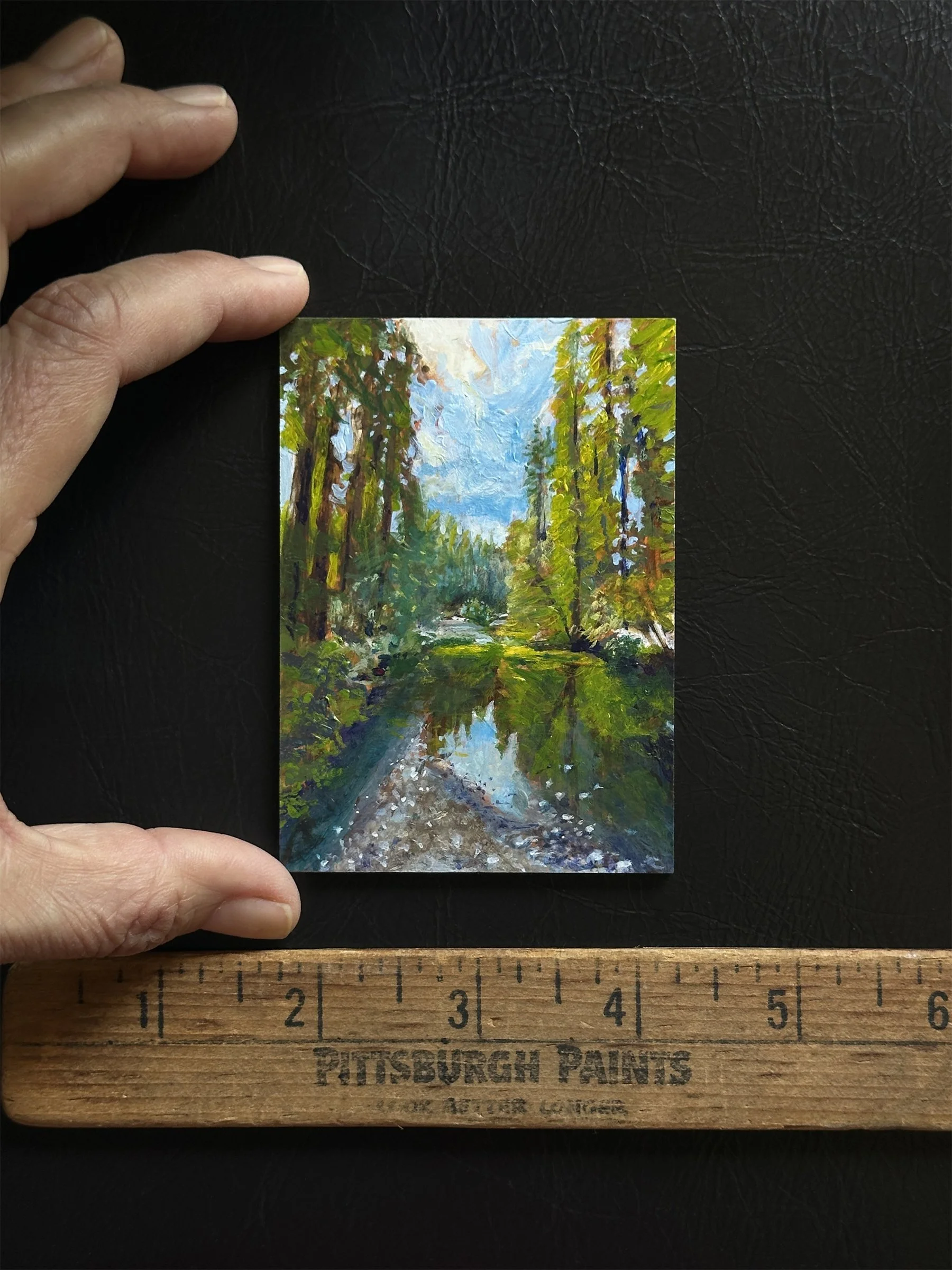 View from the Caz Bridge miniature IMG_0452.jpg