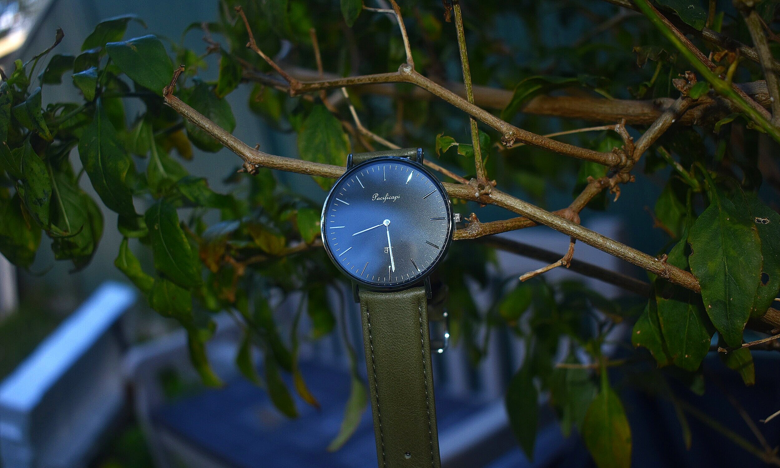 DSC_0721.jpg