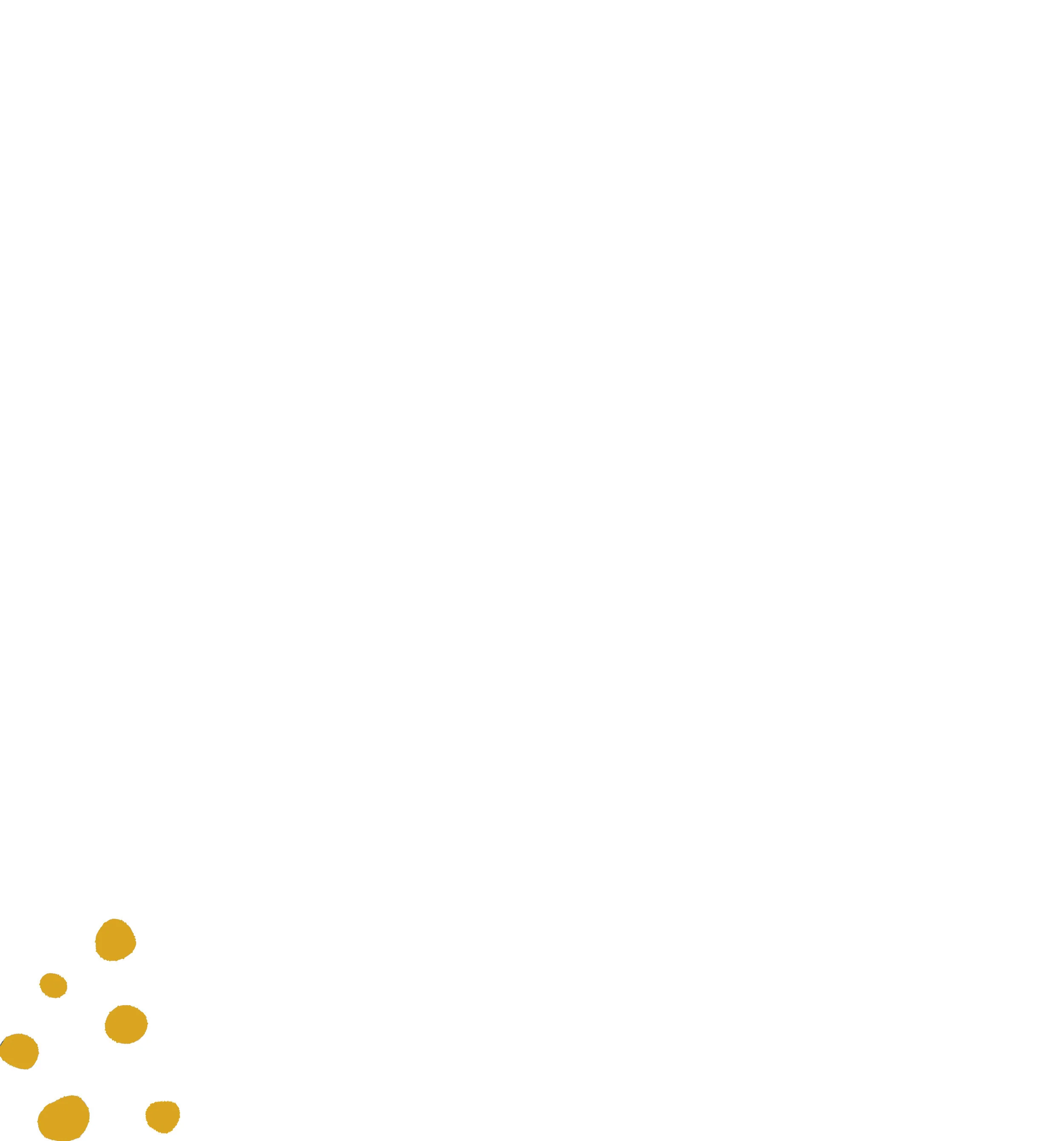 White Background with Yellow Dots - left.jpg