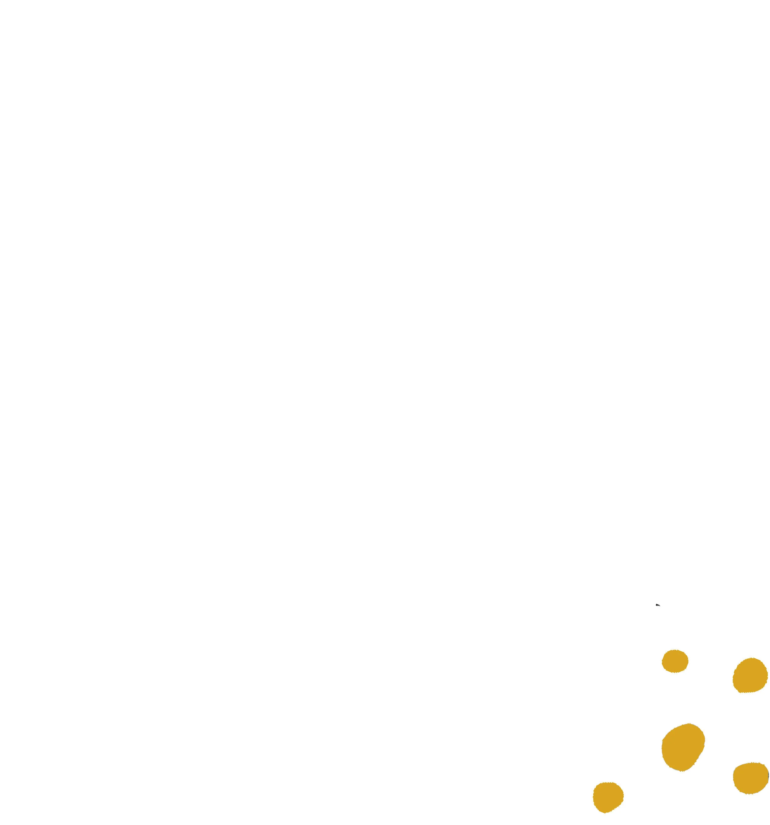 White Background with Yellow Dots.jpg