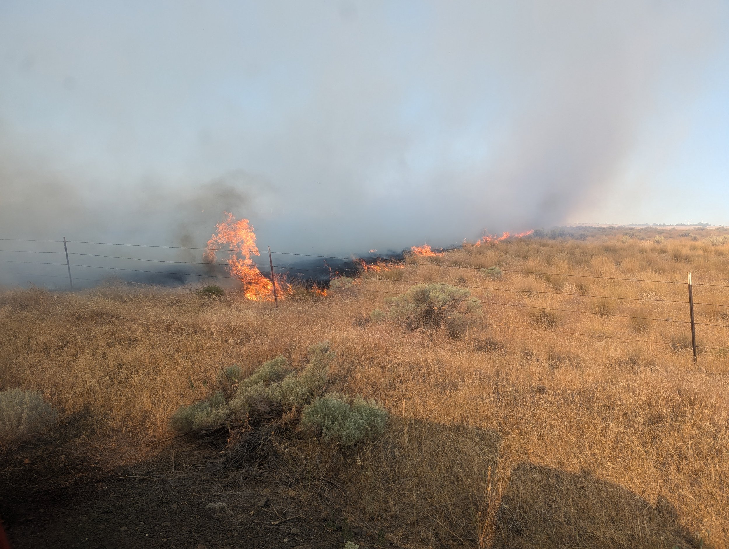 Fire activity near the roadway. Bighorn Fire, July 25, 2024