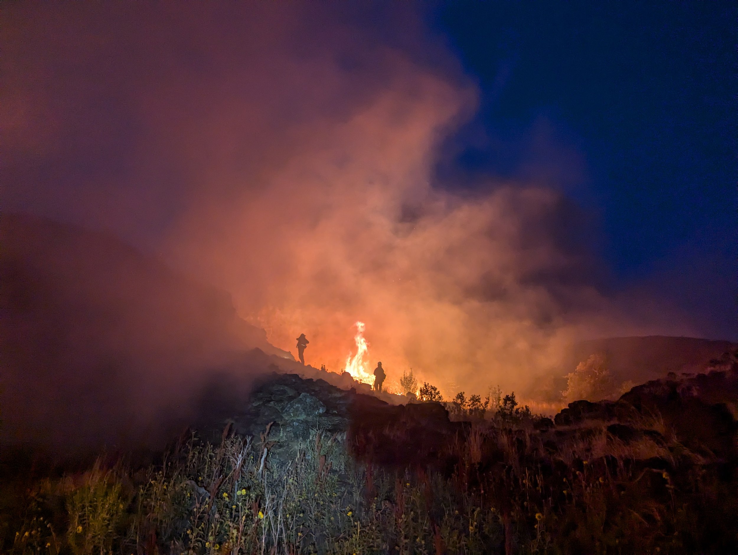 Firefighters battling a wildfire in Dallesport. July 28, 2024