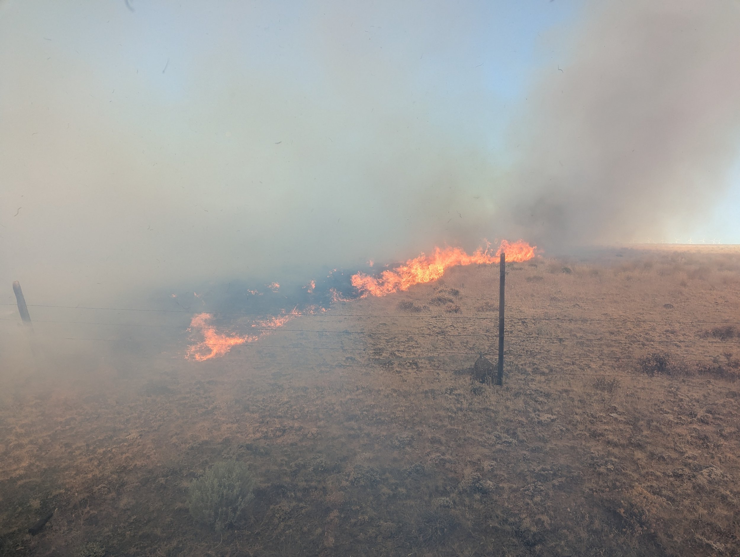 Fire activity near the roadway. Bighorn Fire, July 25, 2024
