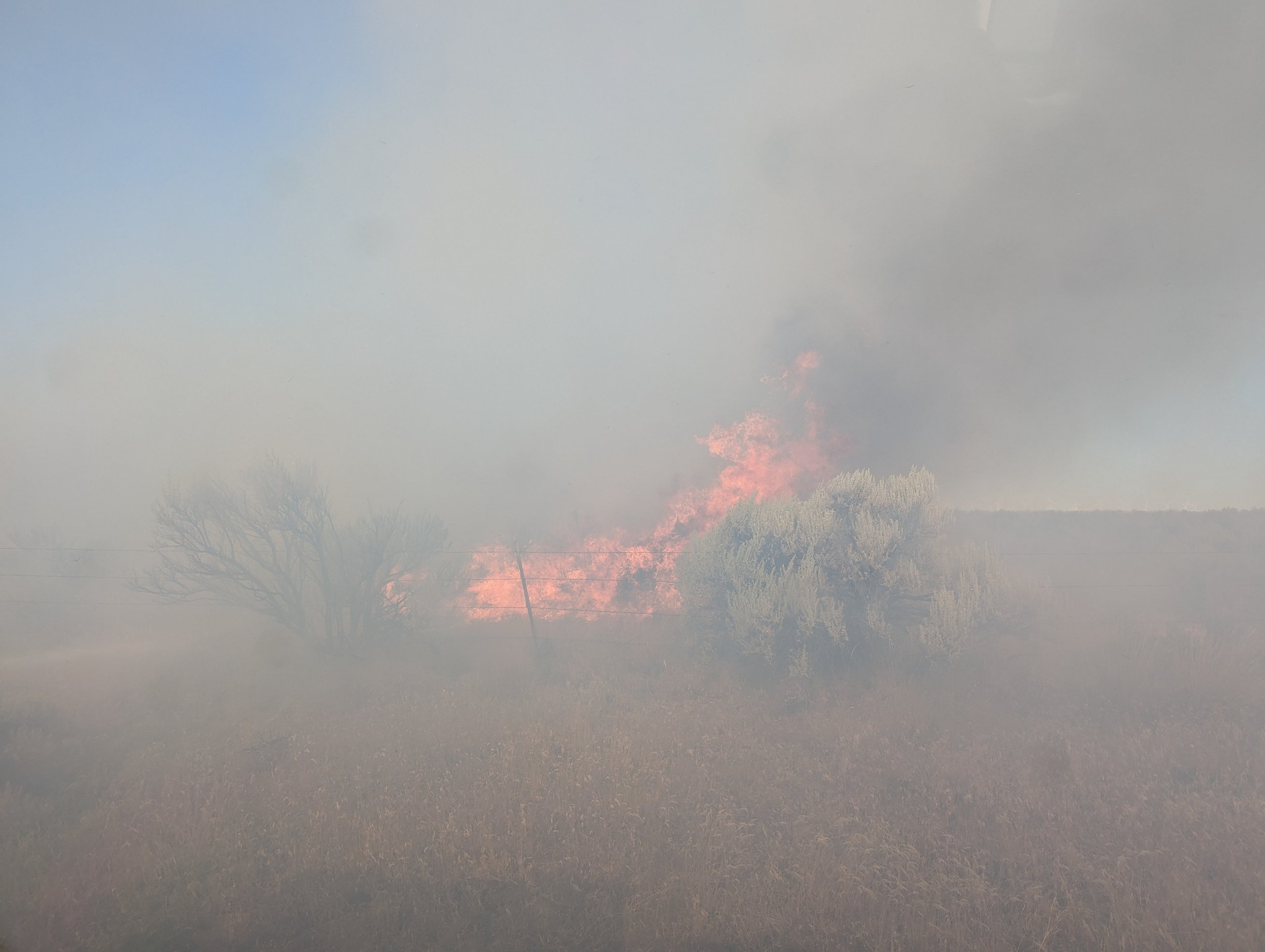 Sagebrush torching from wildfire. Bighorn Fire, July 25, 2024