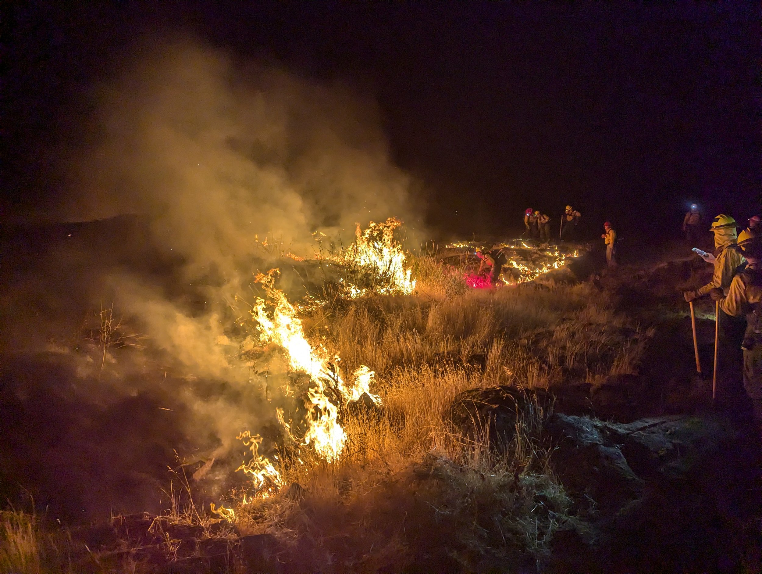 Setting a back-burn to control fire growth. Dallesport Fire, July 28, 2024