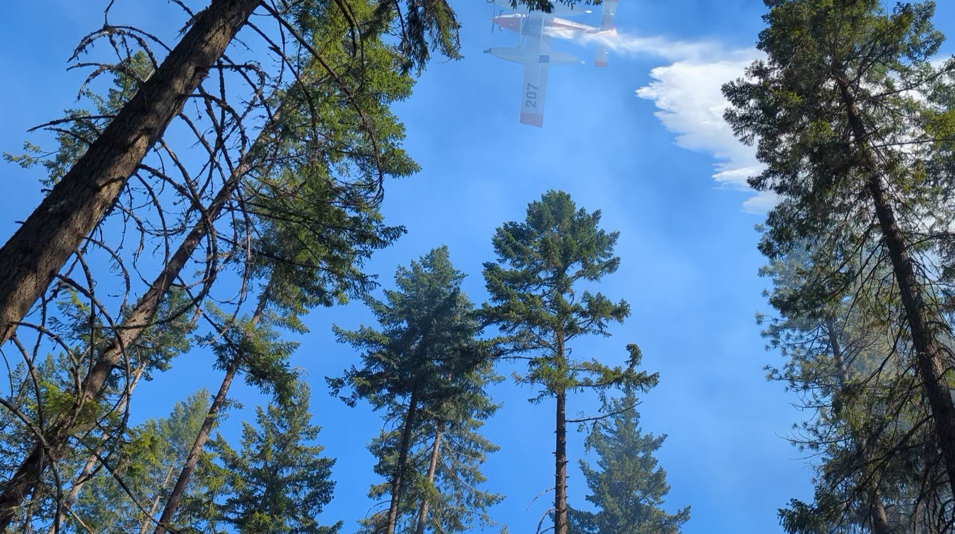 DNR Fire Boss plane providing aerial water support during a fire near Long Road in Wahkiacus. June 23, 2024