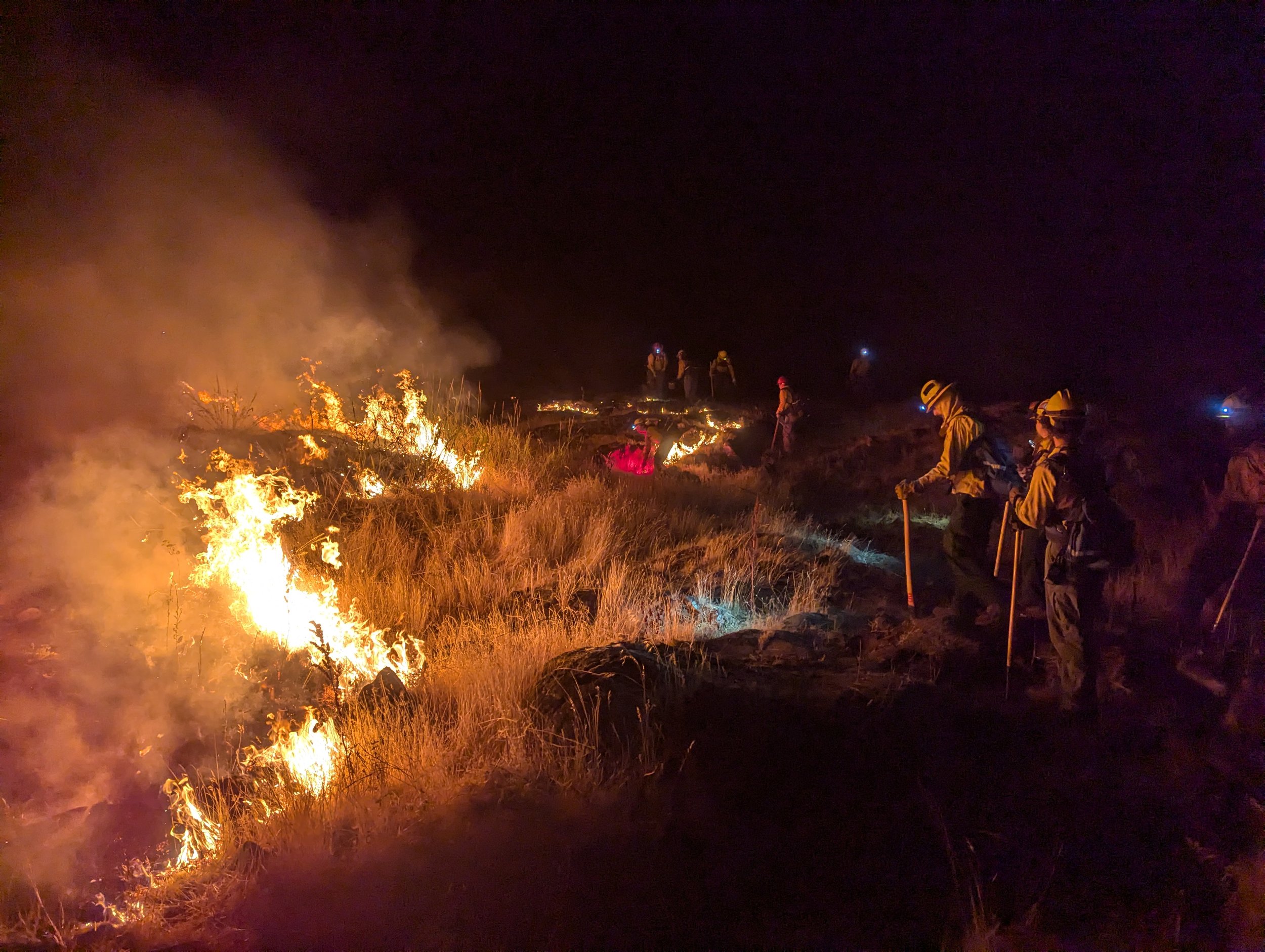 Setting a back-burn to control fire growth. Dallesport Fire, July 28, 2024