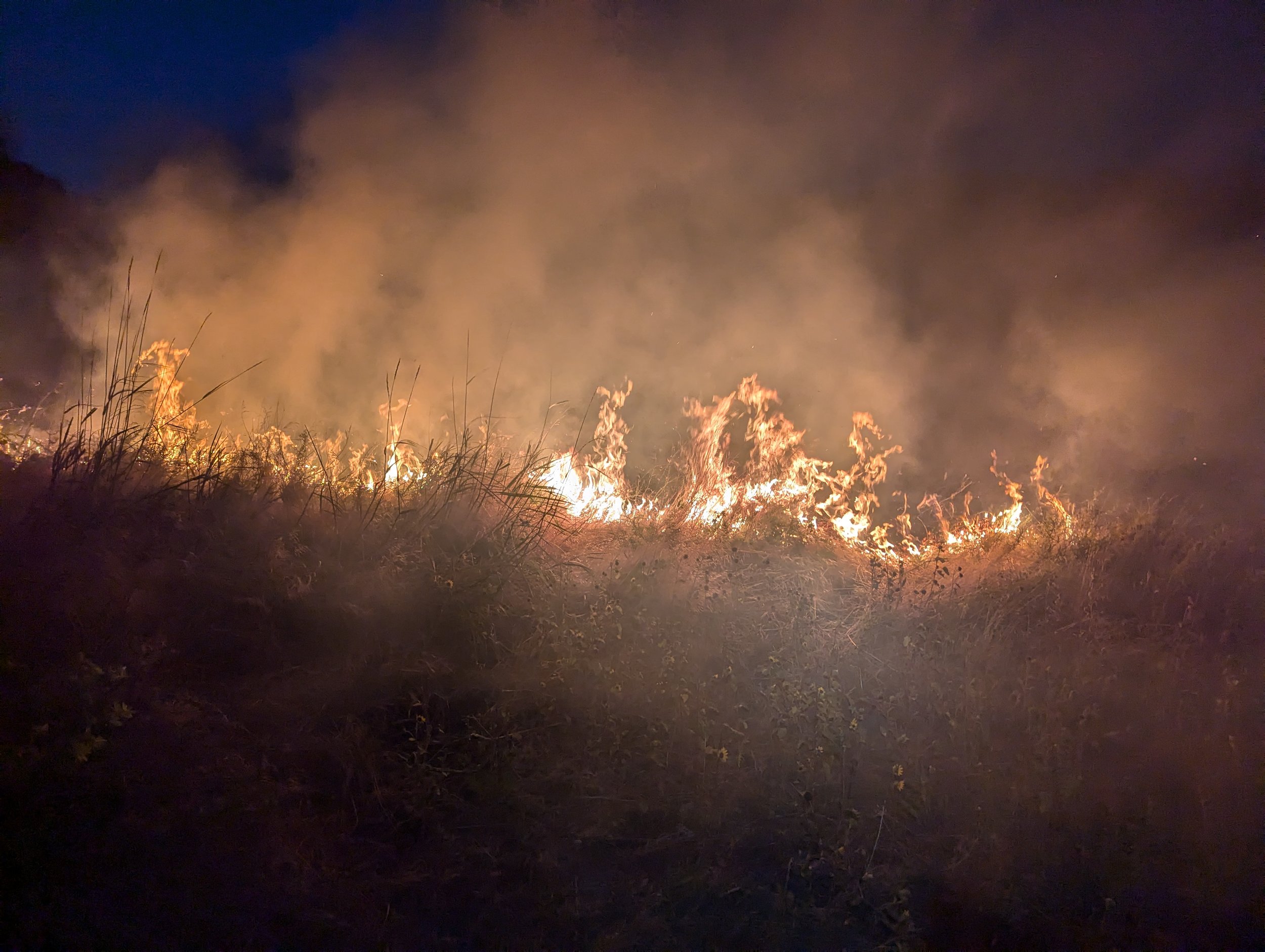 Fast-moving fire in light grass fuels. Dallesport Fire, July 28, 2024