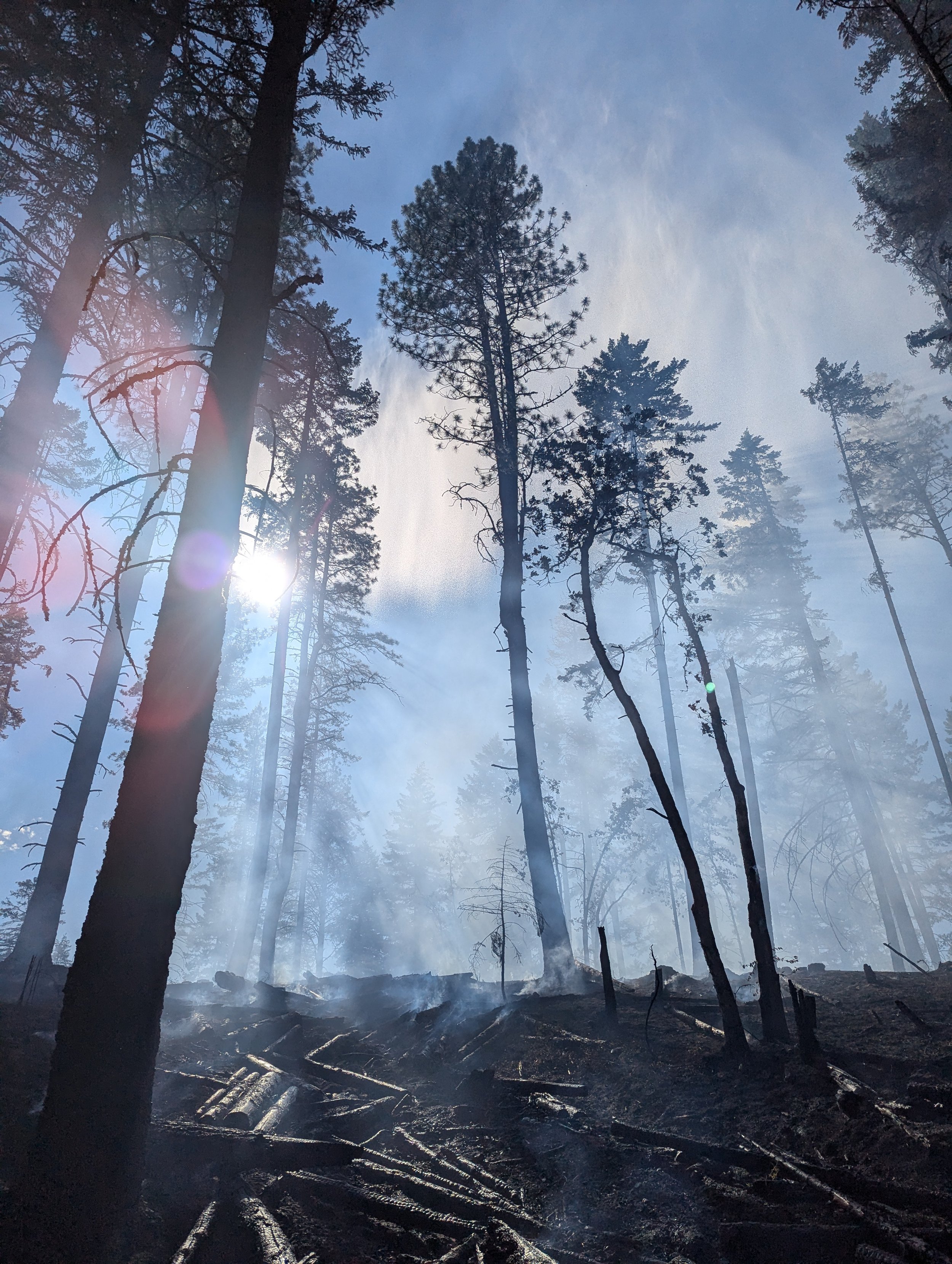 Fire aftermath. Long Road Fire, June 23, 2024