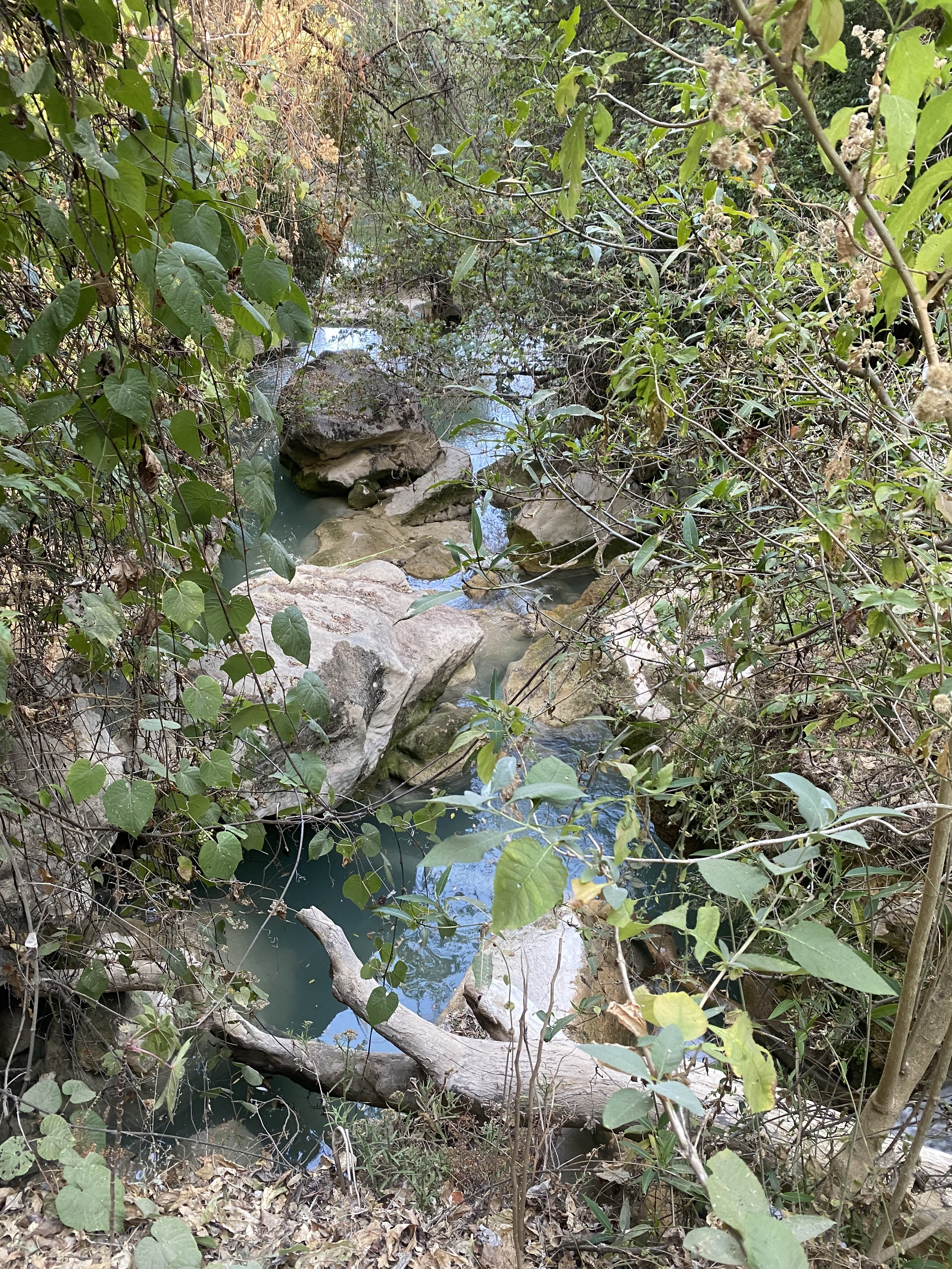 IMG_5737.jpeg