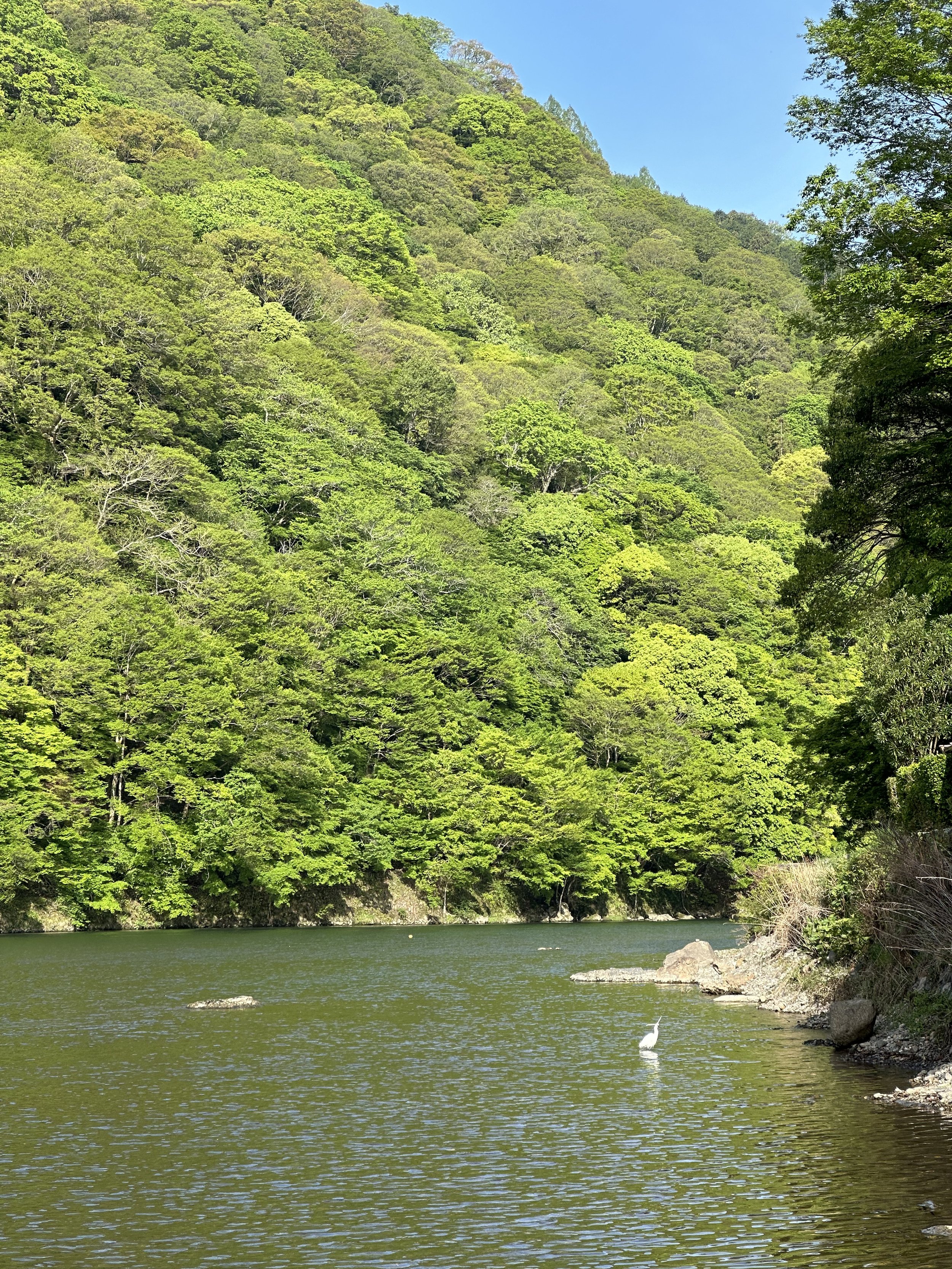 IMG_7516.jpeg