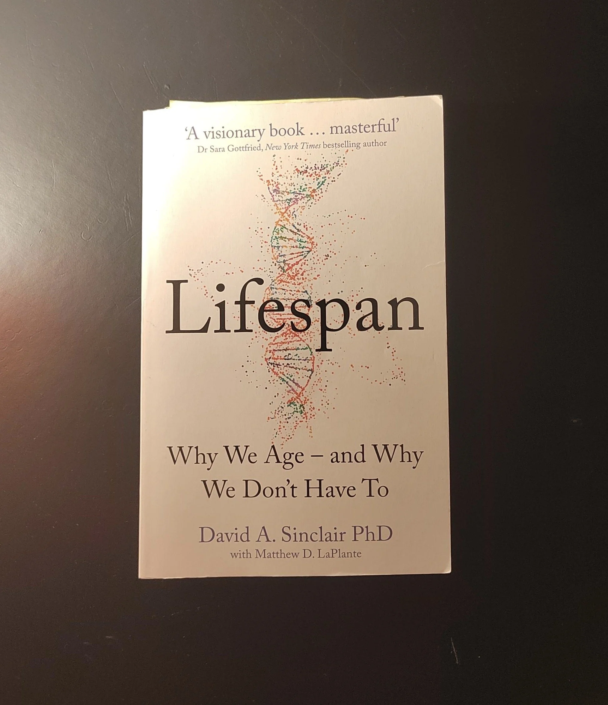 processed-e3b717f3-e9b2-4693-9547-990f58ea75bd_XutFvGGx 2.jpeg