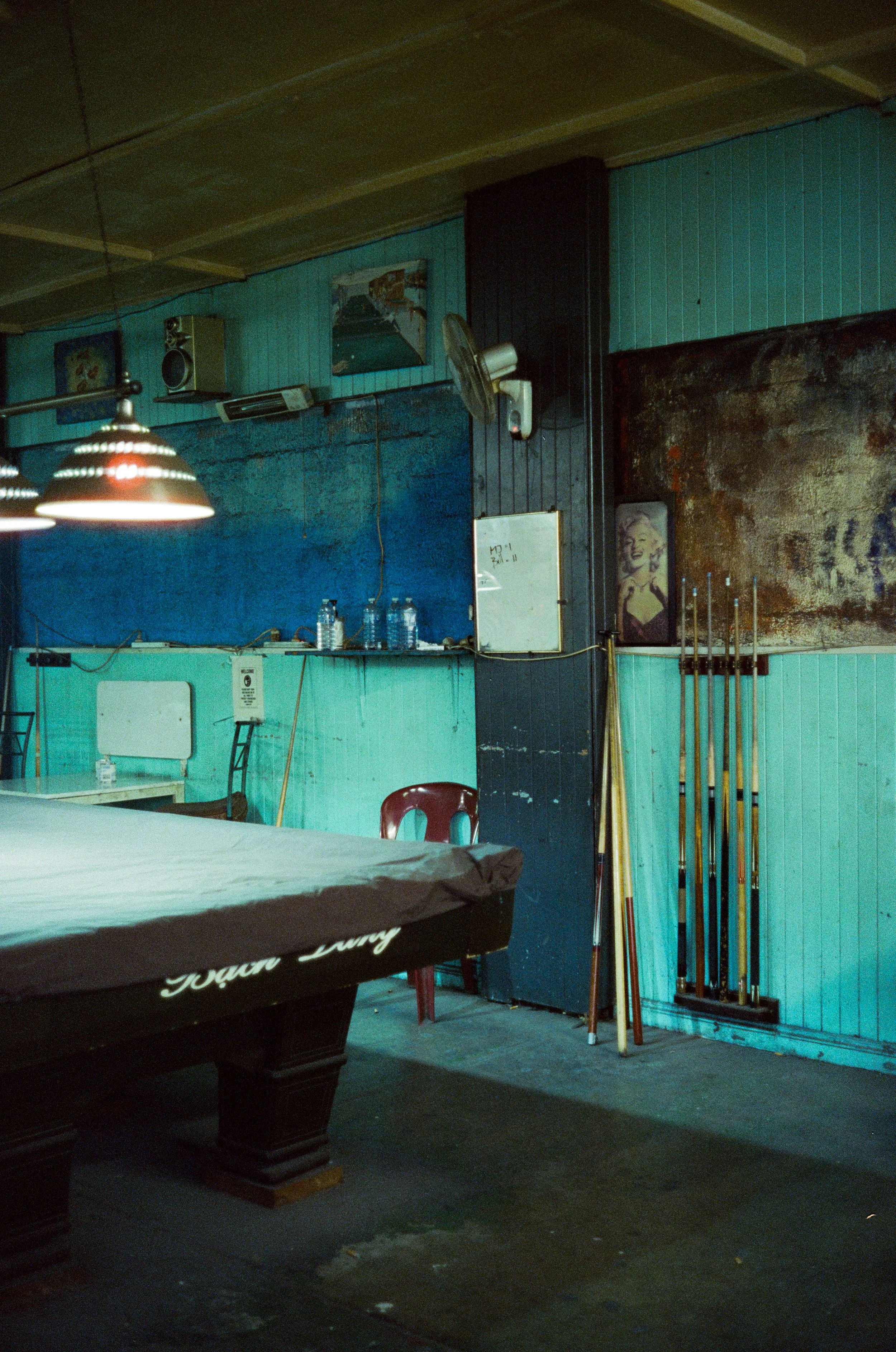 Film - April 2026 - Cinestill 800T - JZ-5.jpg