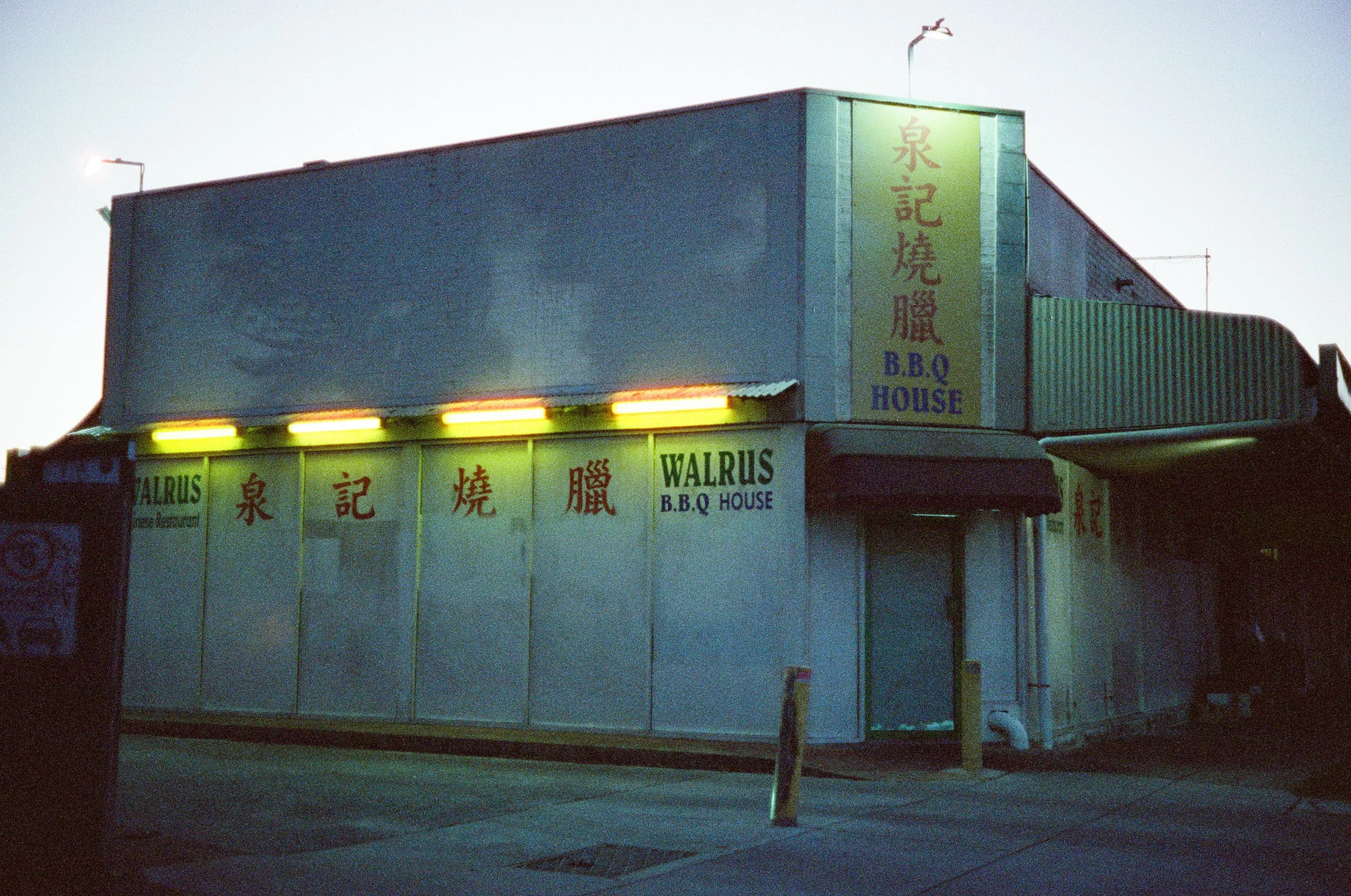 Film - April 2026 - Cinestill 800T - JZ-4.jpg