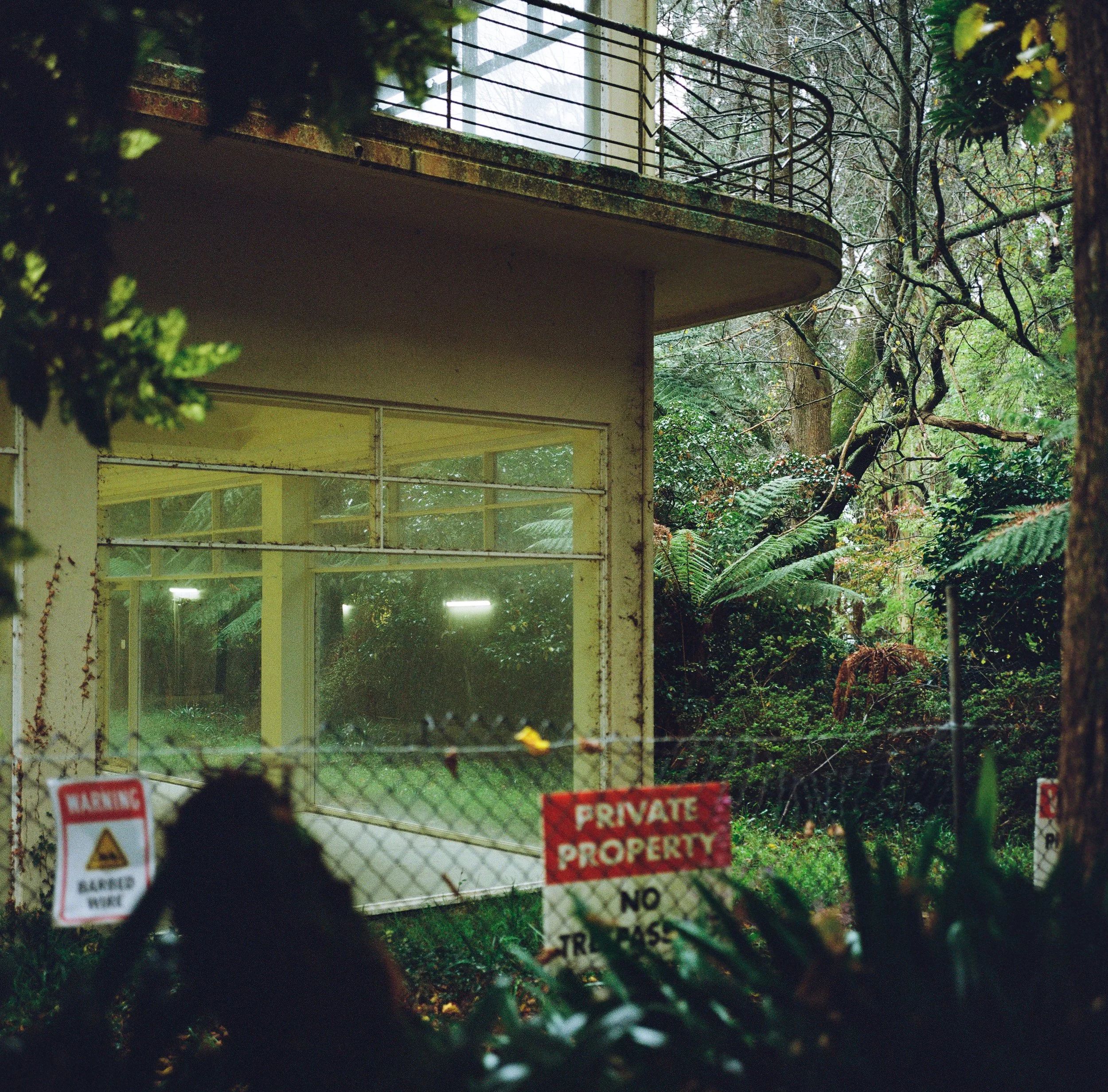 Alfred Nicholas - Portra 800 - JZ-2.jpg