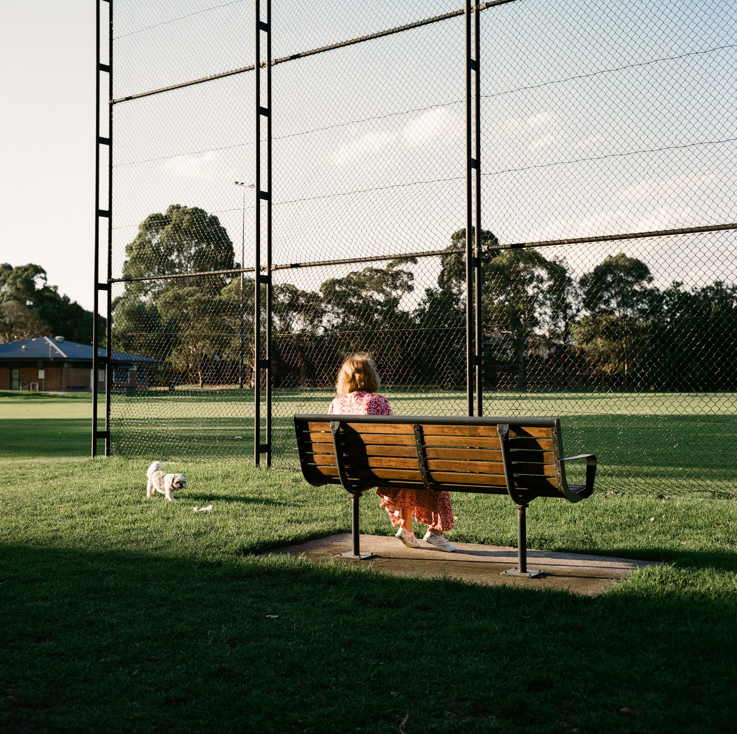 Melbourne Street - March 2026 - Portra 400 - JZ-1.jpg
