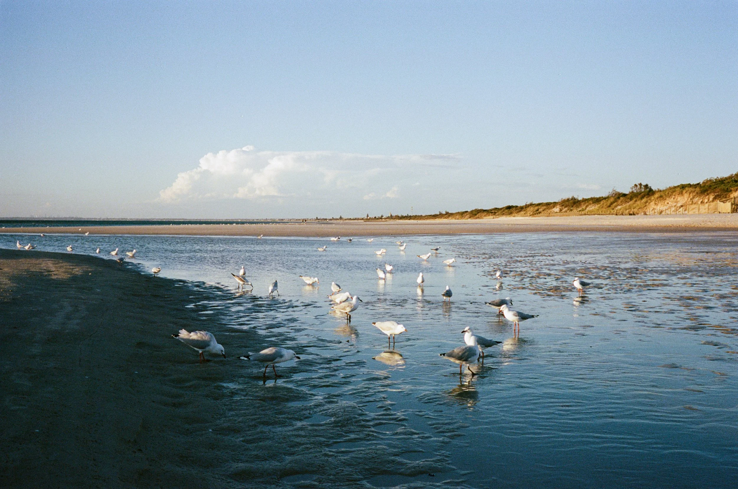Landscape - Film - JZ-6.jpg