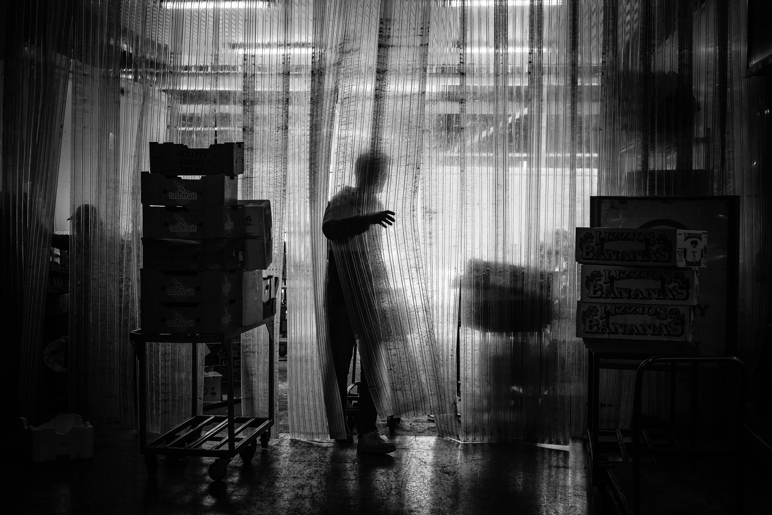 Jane Zhang Photography - BW-28-2.jpg