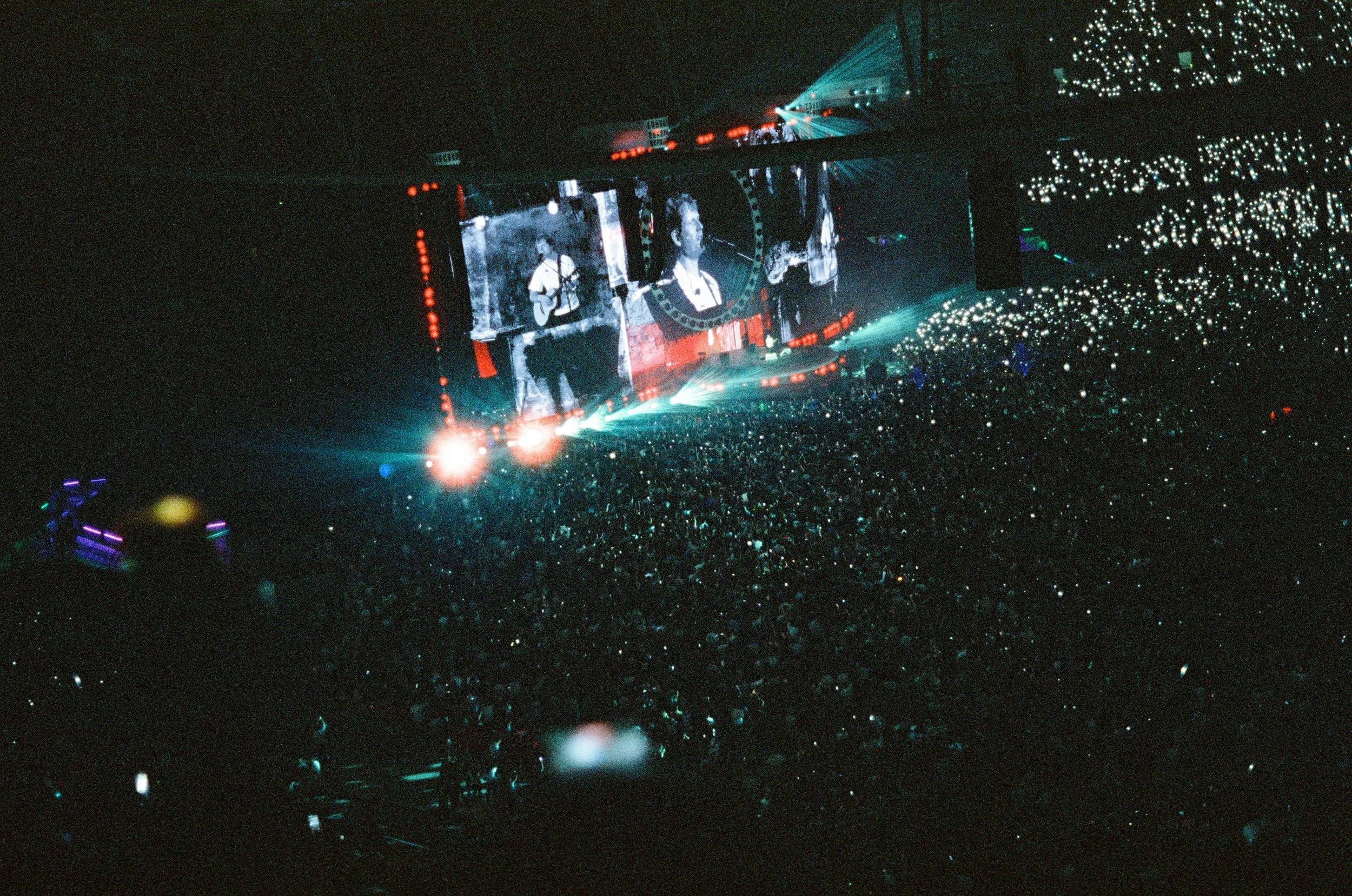 Melbourne Street - March 2026 - Cinestill - JZ-12.jpg