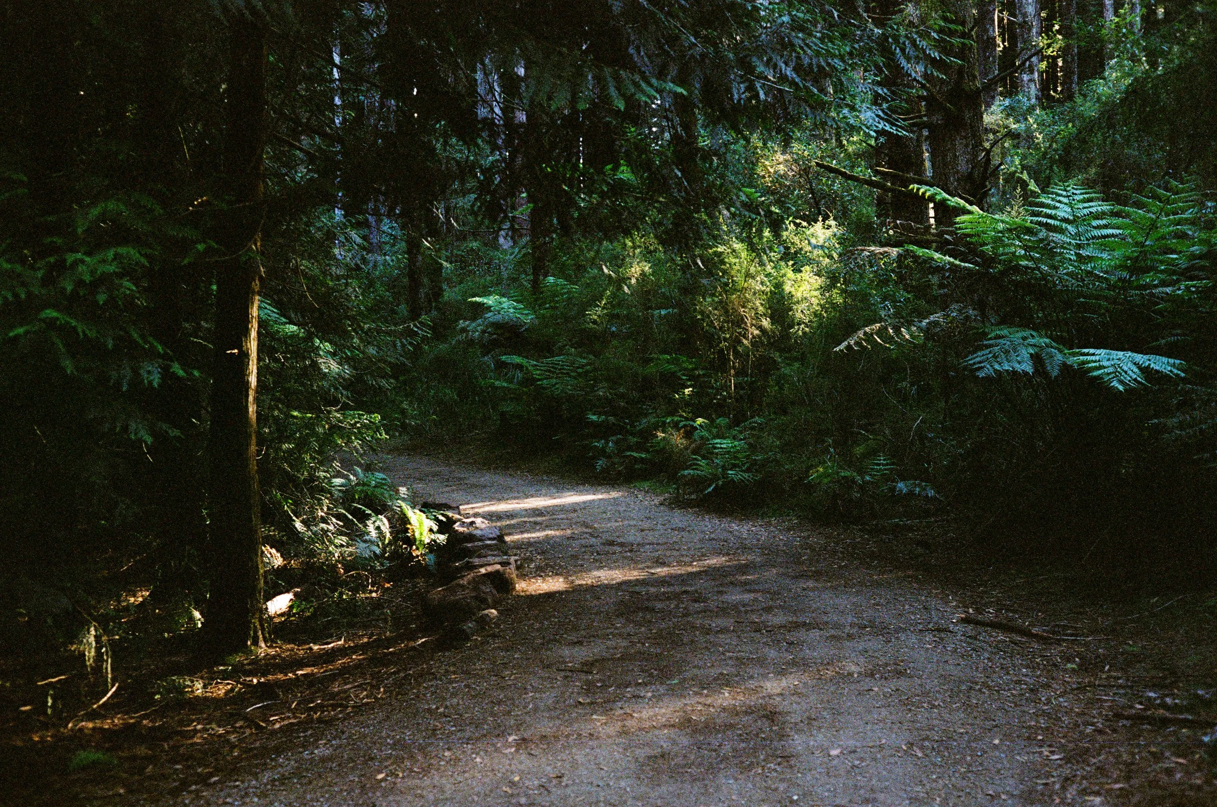 Landscape - Film - JZ-2.jpg