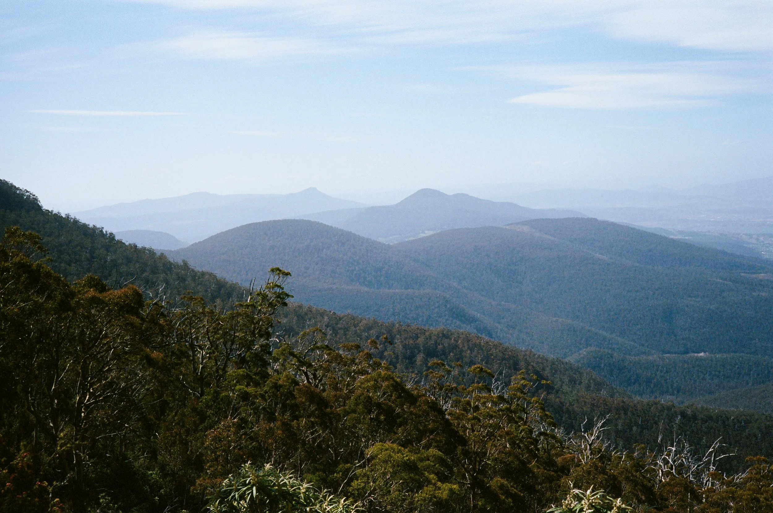 Landscape - Film - JZ-9.jpg