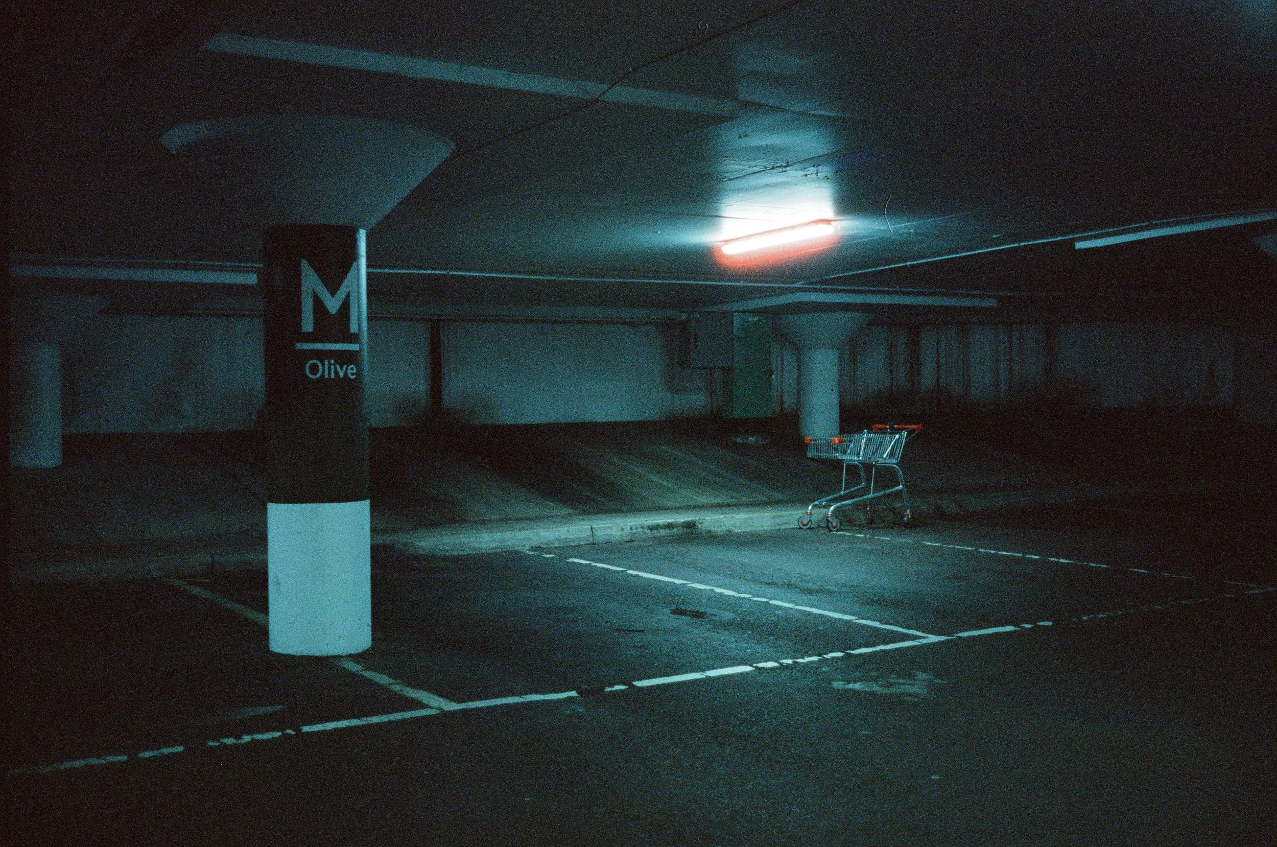 Film - April 2026 - Cinestill 800T - JZ-1.jpg