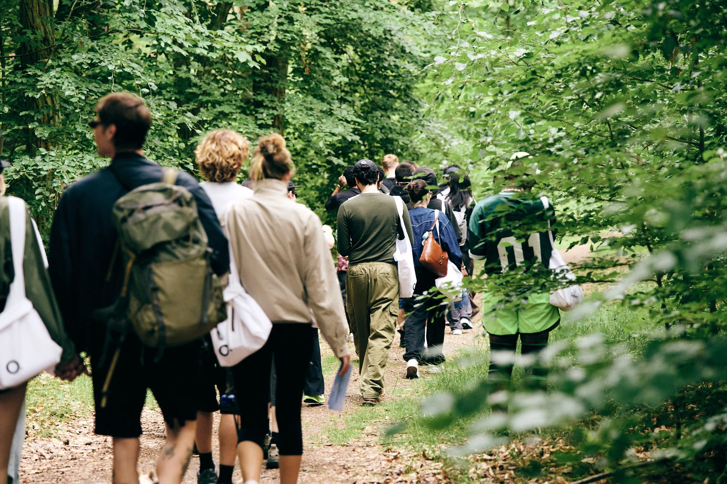 Group of people hiking on a trail through a dense green forest.