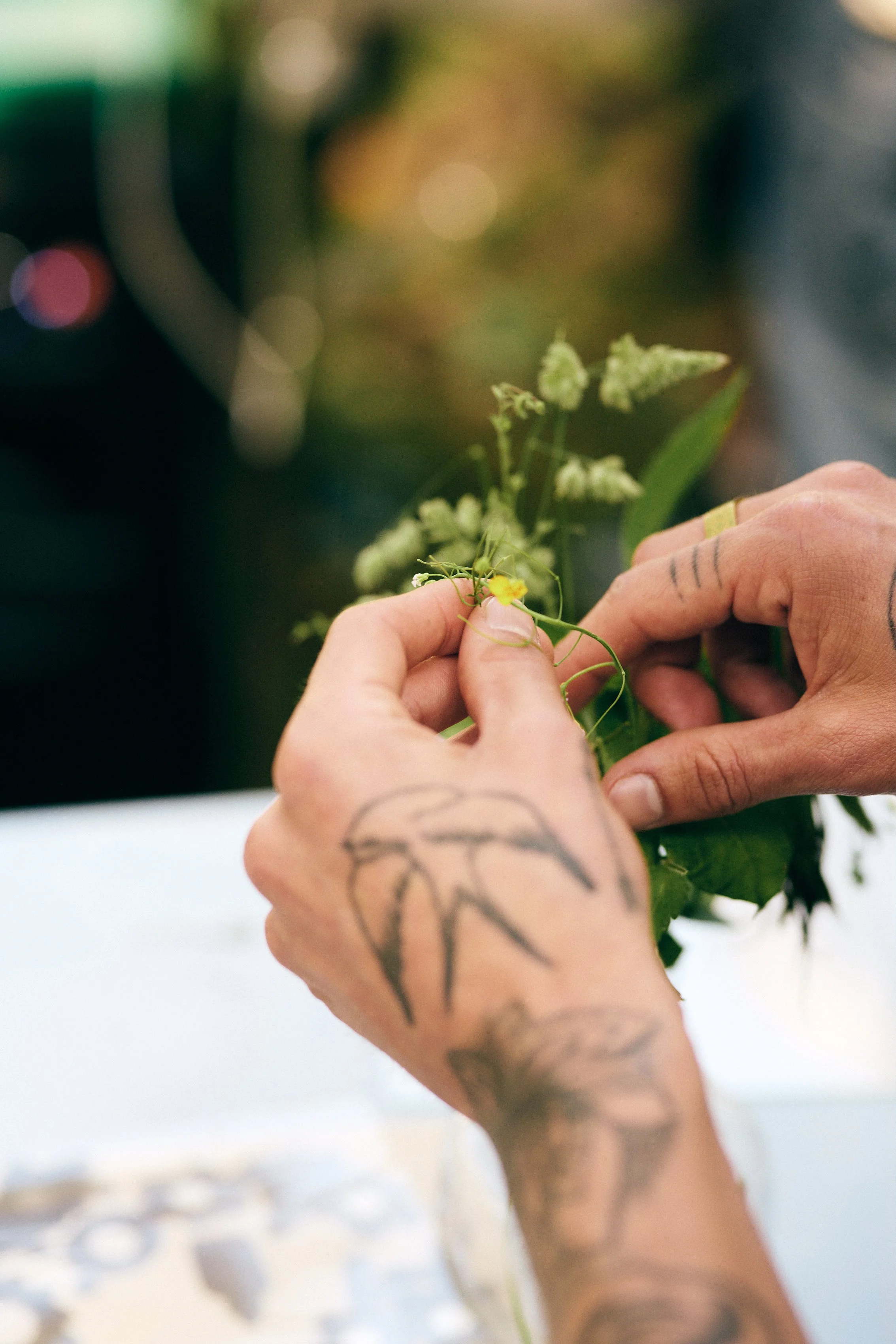 Hands with tattoos holding and tending to a small yellow flower on a green plant.