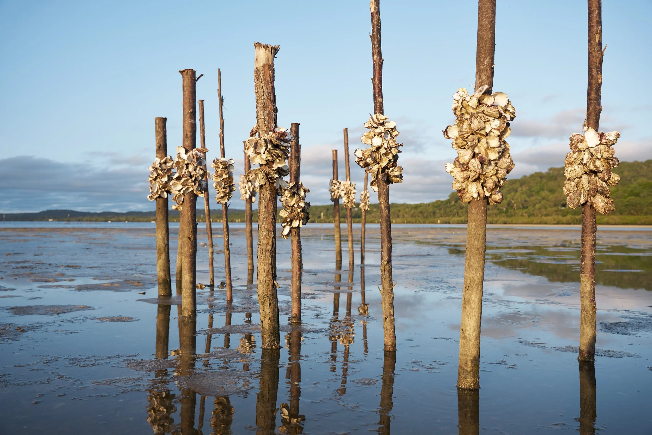 Kinyingarra Guwinyanba