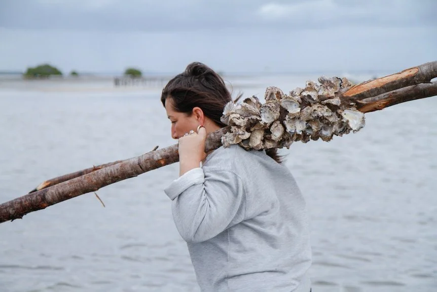 Episode 22 Arts Week: head to Minjerribah to see Megan Cope build an oyster reef on Country</a>.